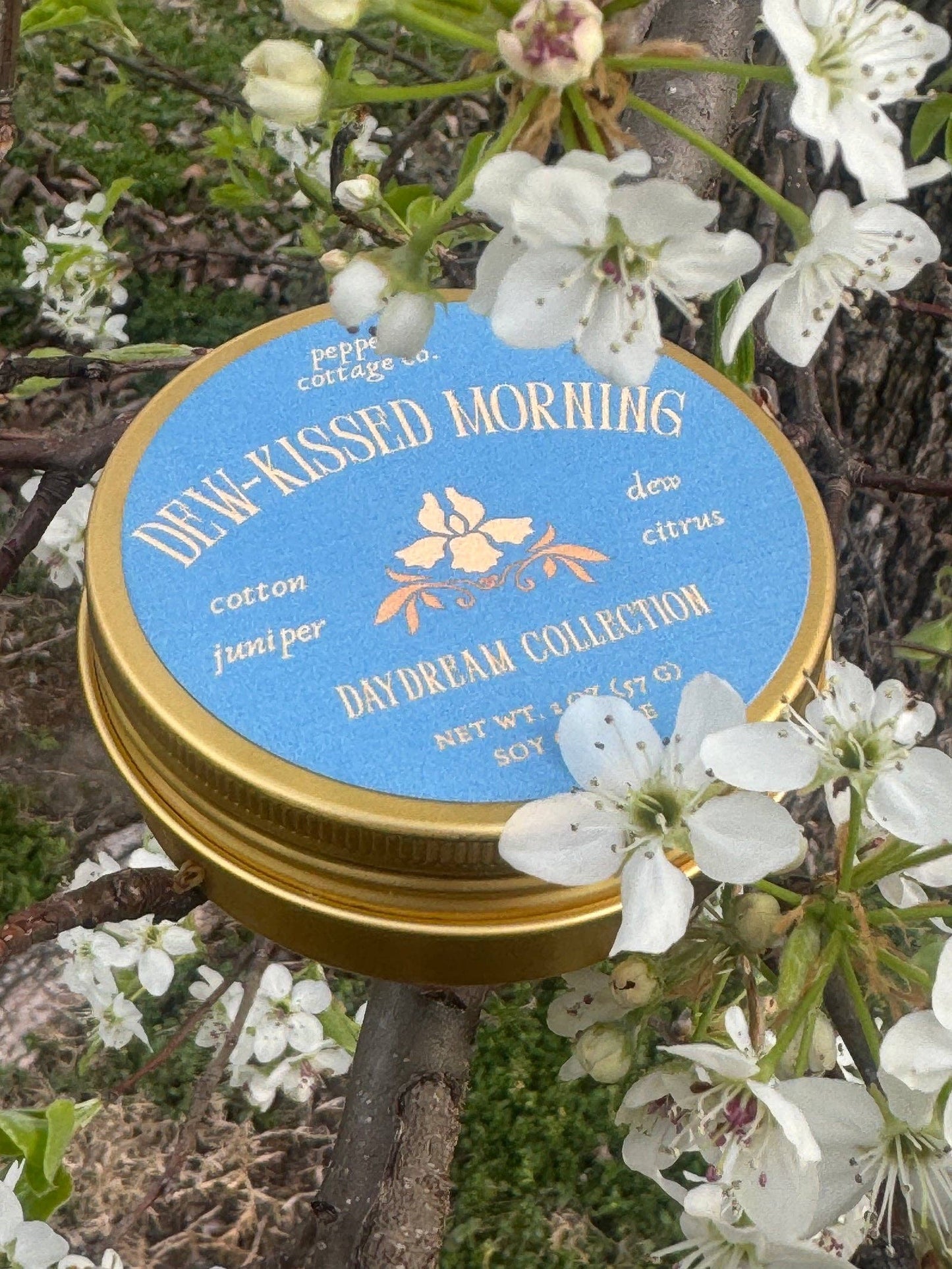Dew-kissed Morning 2 oz Soy Candle | Cotton, Dew & Citrus