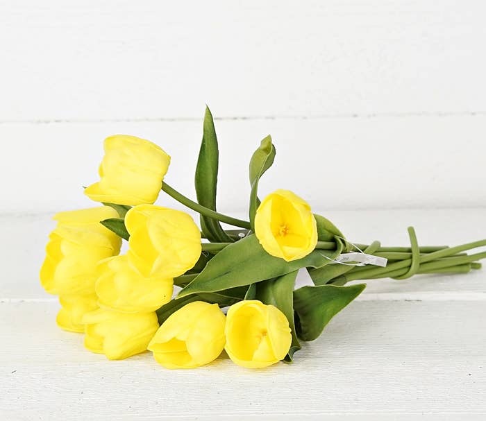 Tulip Bud -Yellow