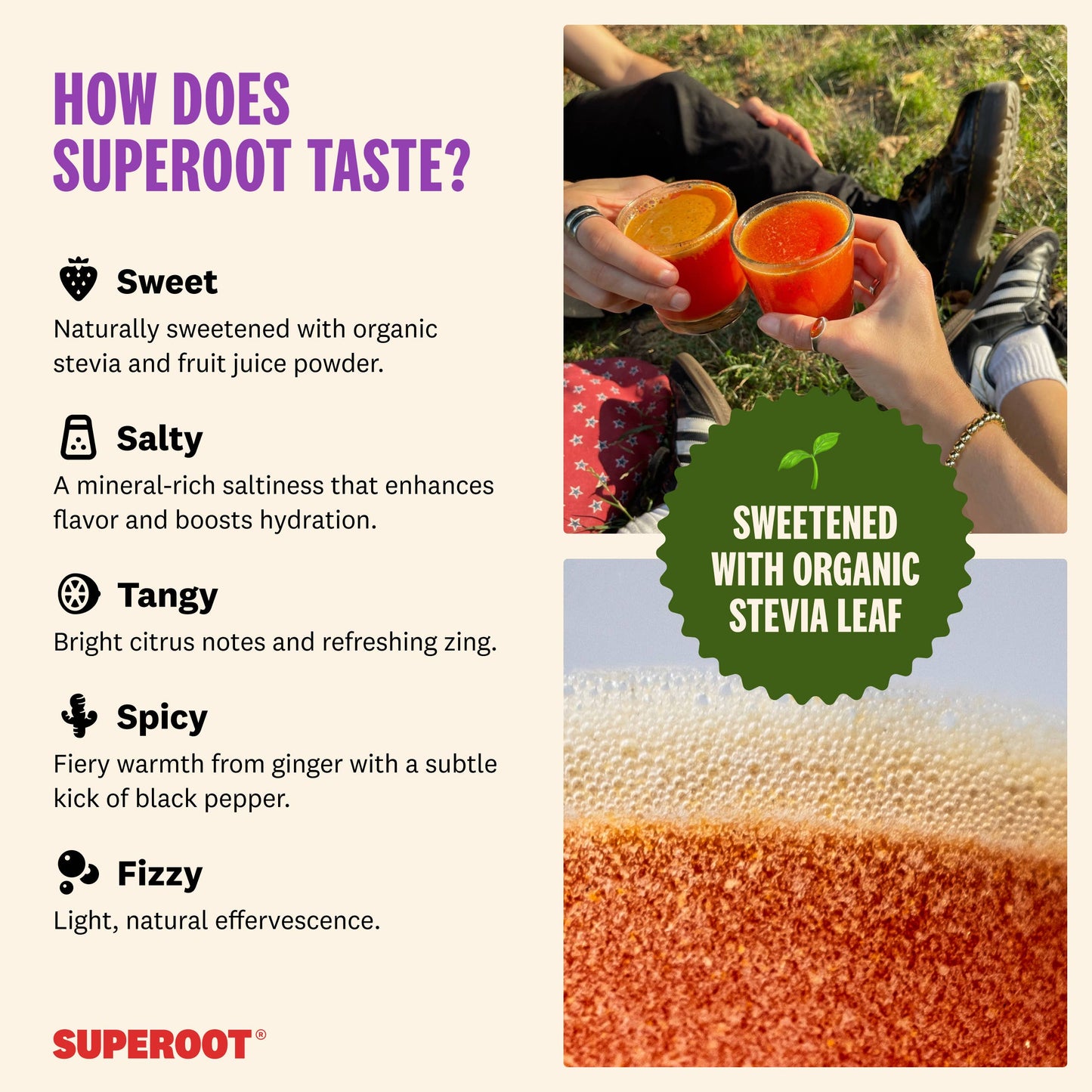 Immunity & Hydration Superfood Mix - Grape | 12 count