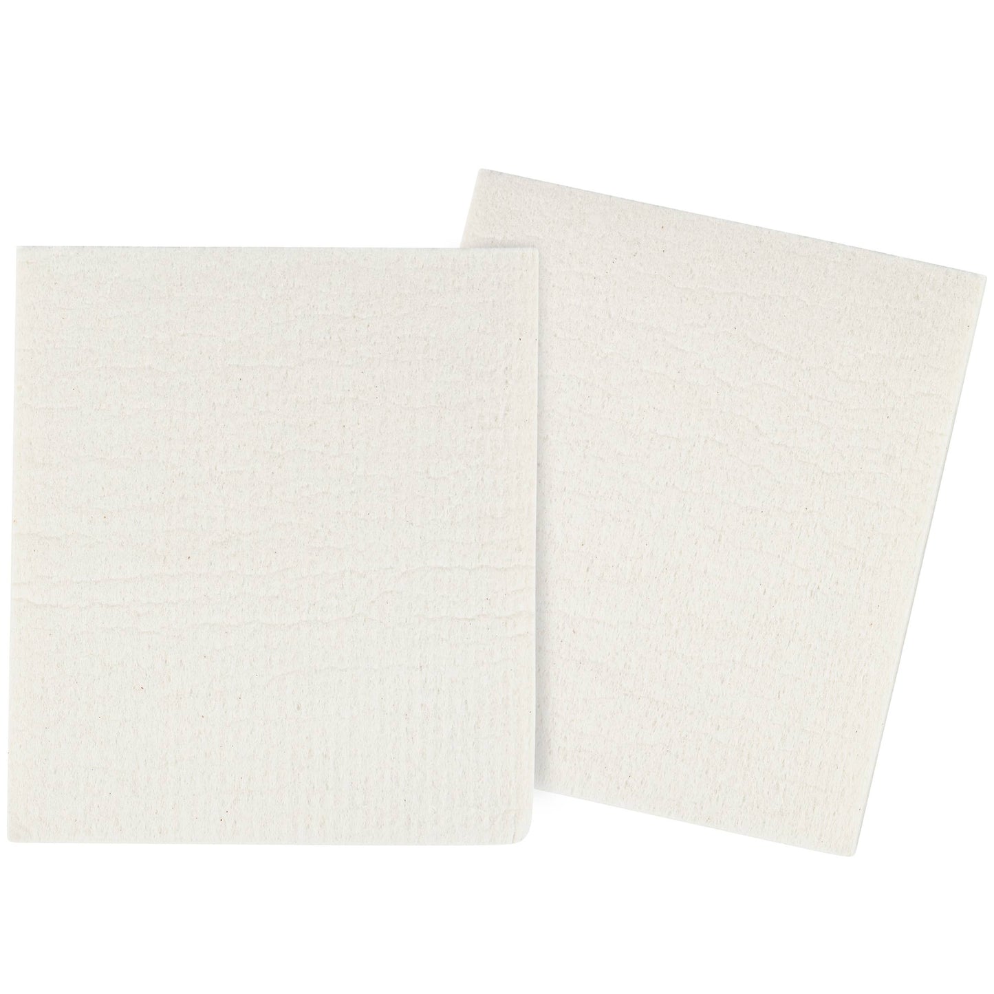 Dragonfly Swedish Dishcloth Set