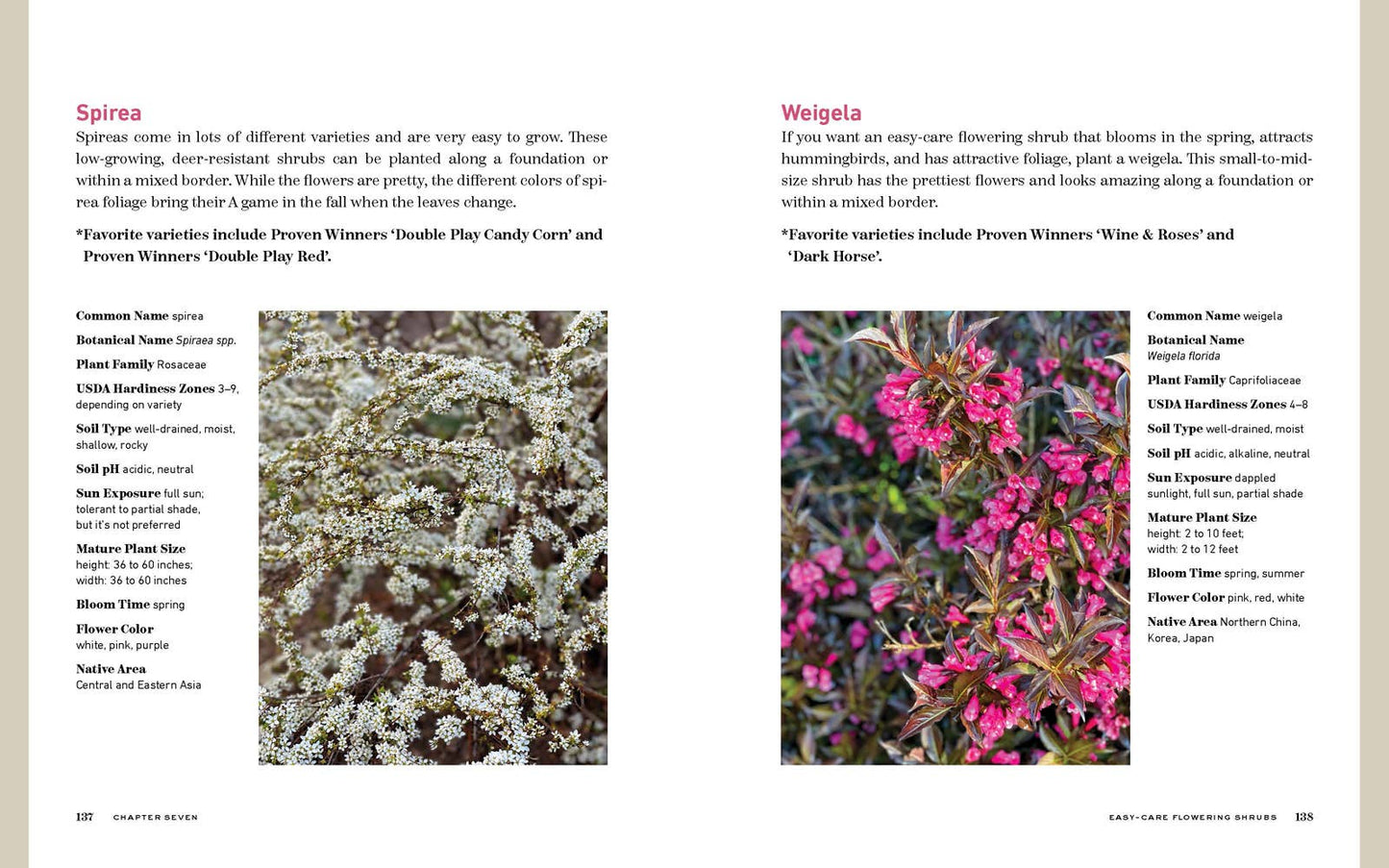 Bricks ‘n Blooms Guide/Beautiful & Easy Care Flower Garden