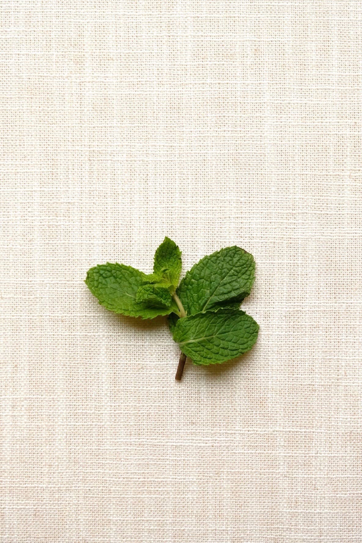 Hey Girl Cocktail Mix (Cucumber, Mint, Lime)