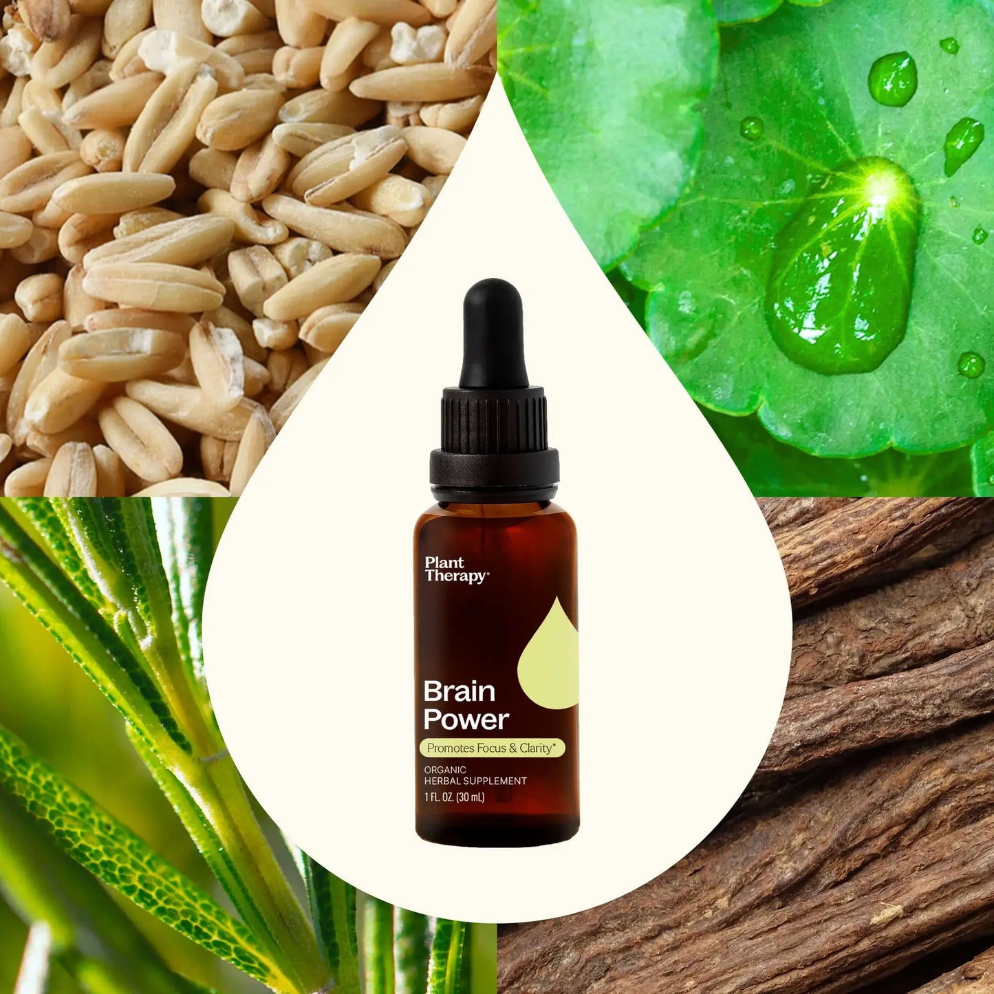 Organic Brain Power Tincture 30mL