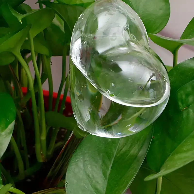 Heart-Shaped Plant Watering Stake - Elegant & Function