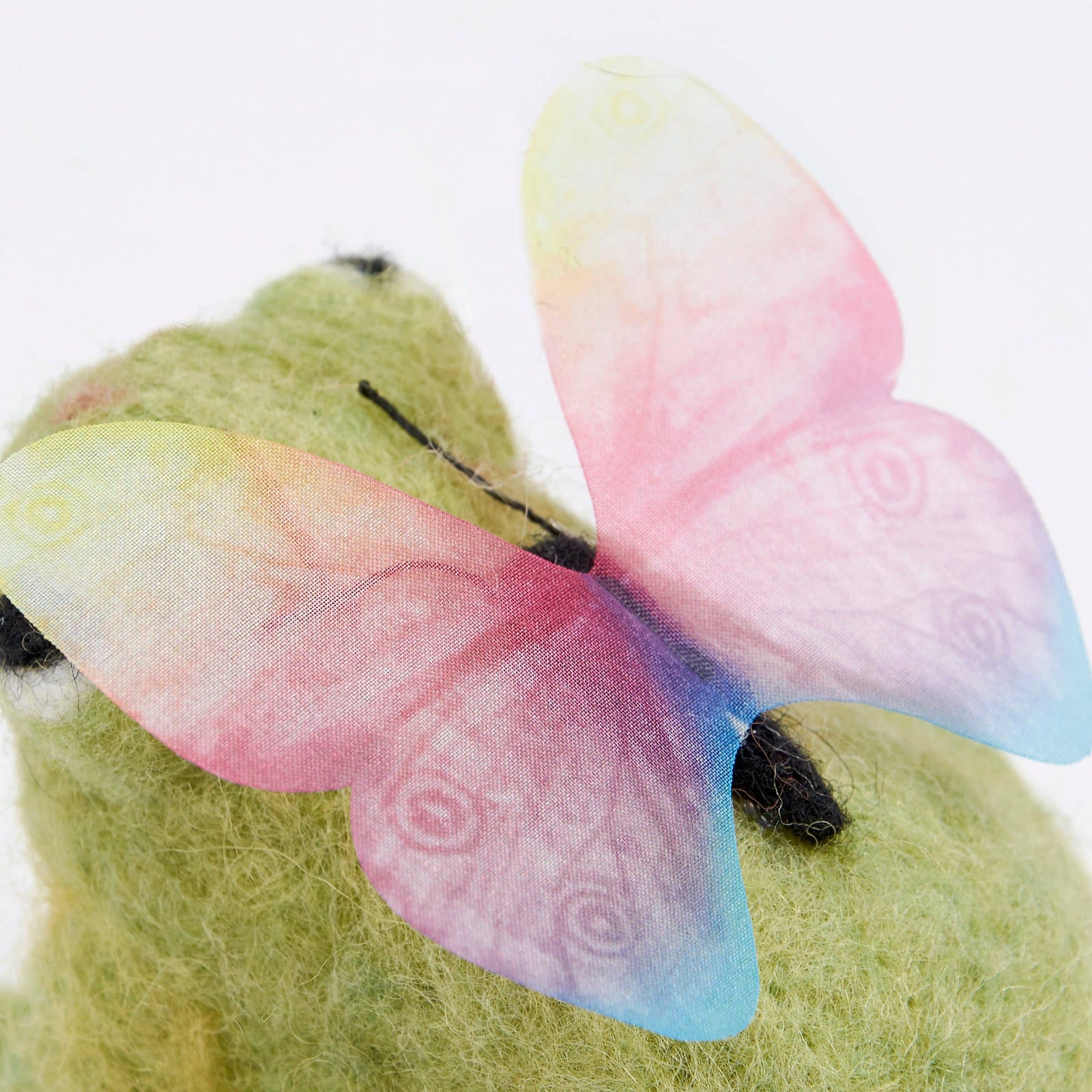 Butterfly Frog Critter