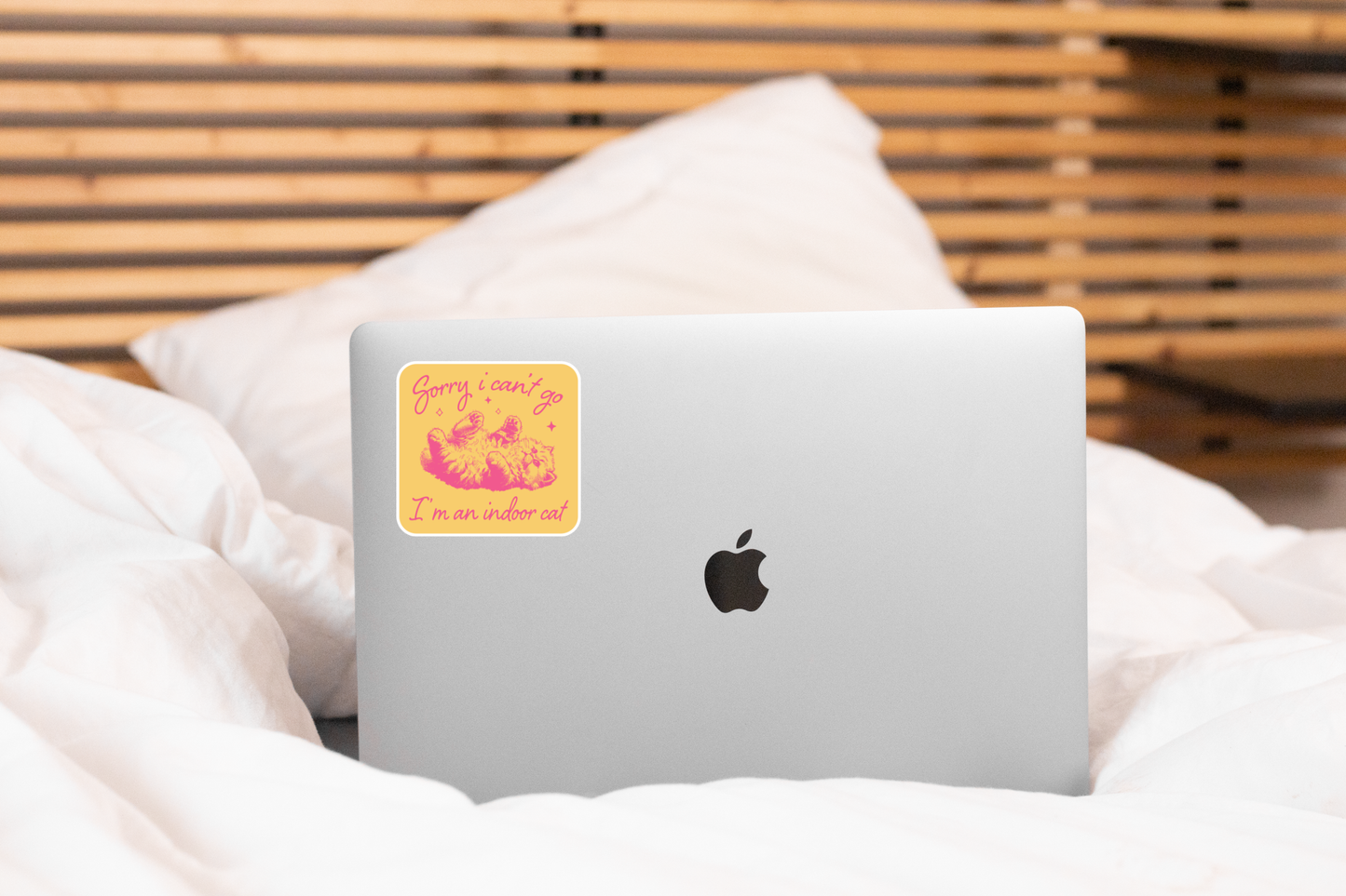 Sorry I Can't Go I'm an Indoor Cat Sticker - kitten, kitty