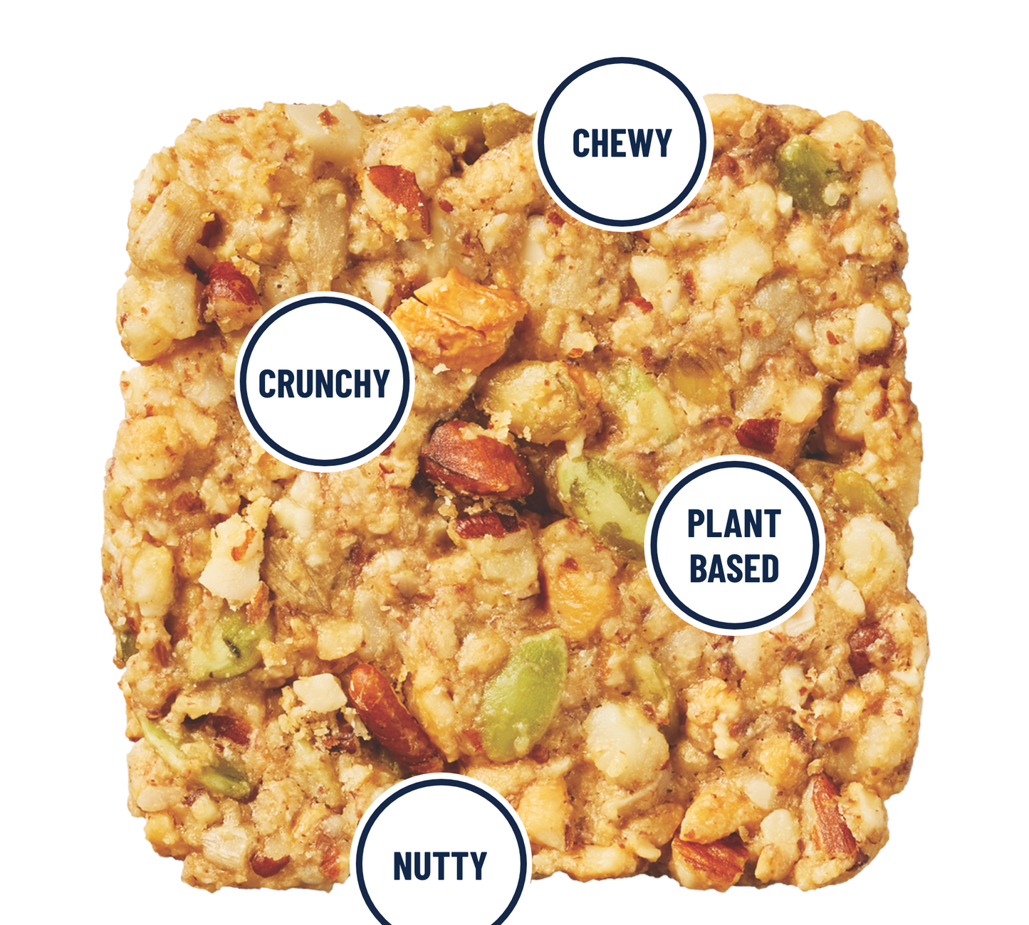 Dark Chocolate Chip - Gourmet Plant-Based Snack Bar