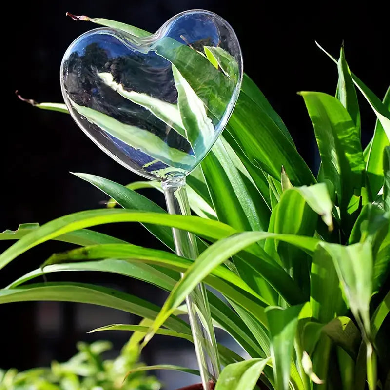 Heart-Shaped Plant Watering Stake - Elegant & Function