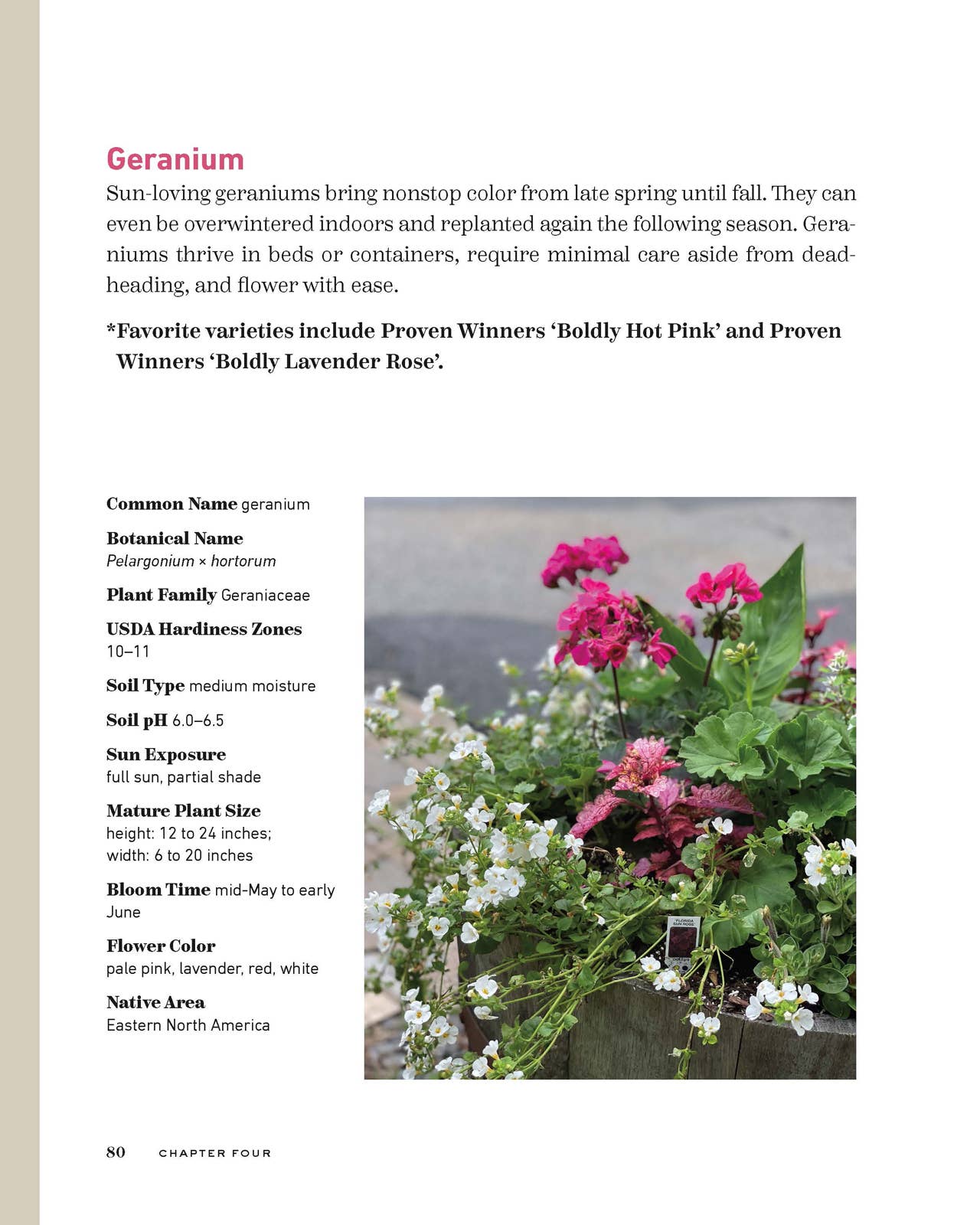 Bricks ‘n Blooms Guide/Beautiful & Easy Care Flower Garden