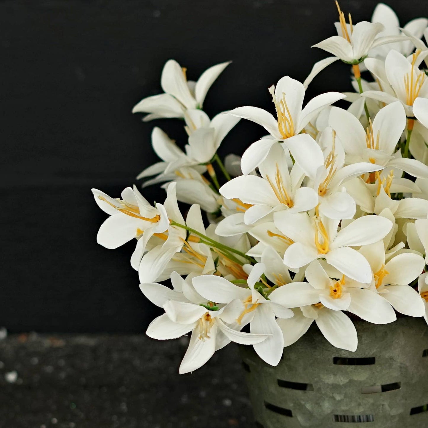 Tahitian Gardenia-Cream White