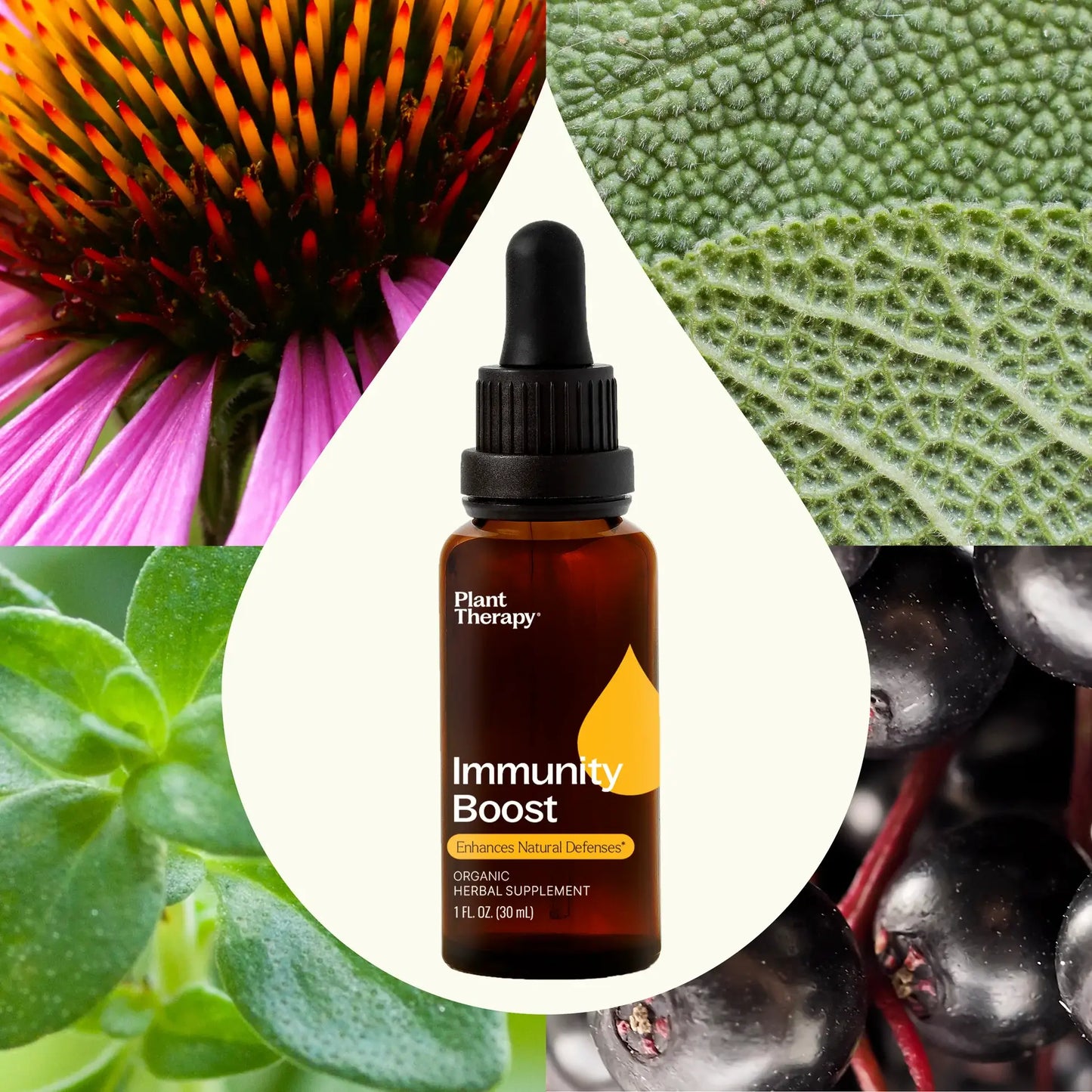 Organic Immunity Boost Tincture 30mL