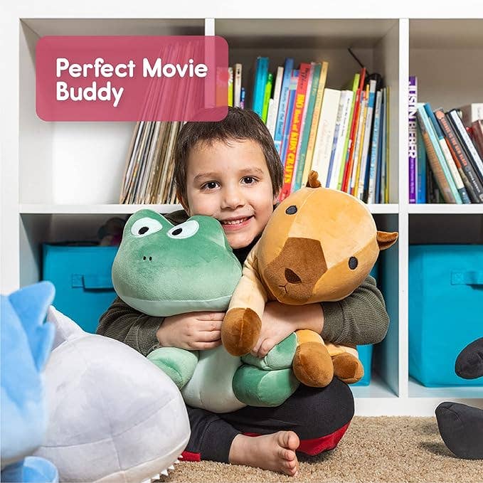 Snuggie Buggie Frog Plush Toy for Kids