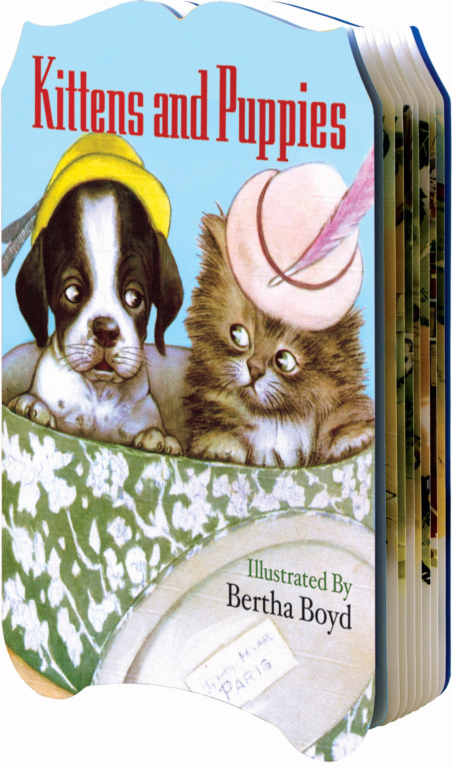 Kittens And Puppies