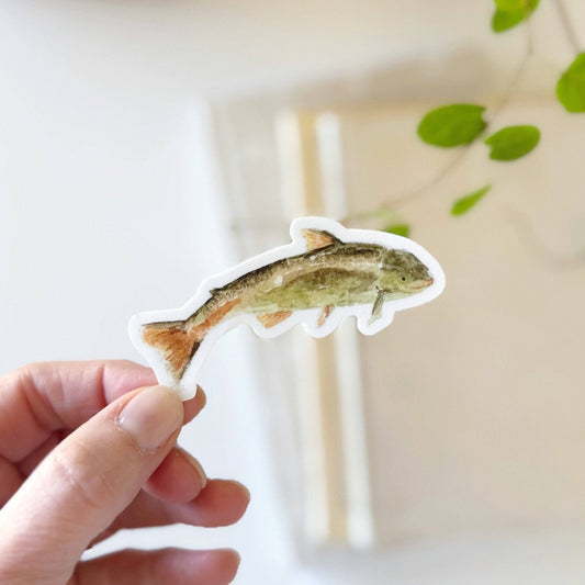 Fish sticker