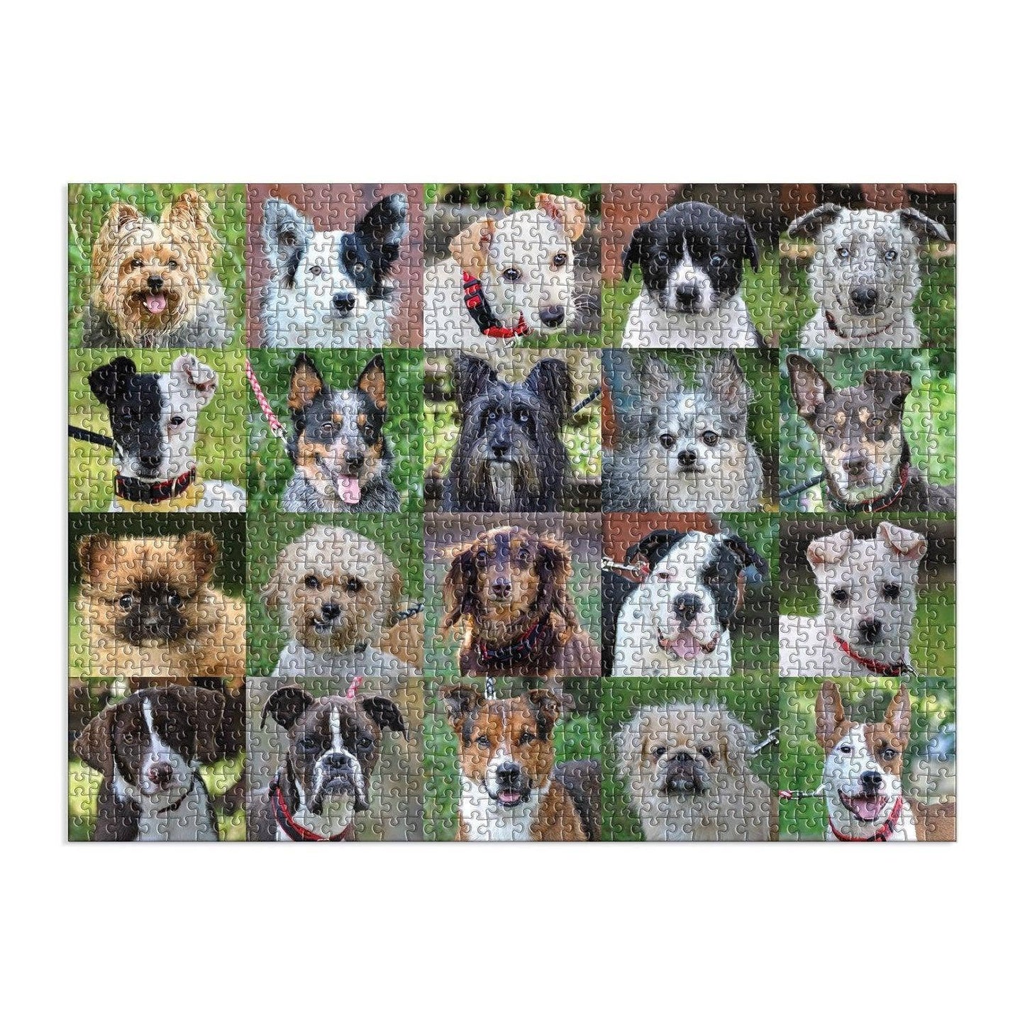 Rescue Dogs 1000 Piece Puzzle