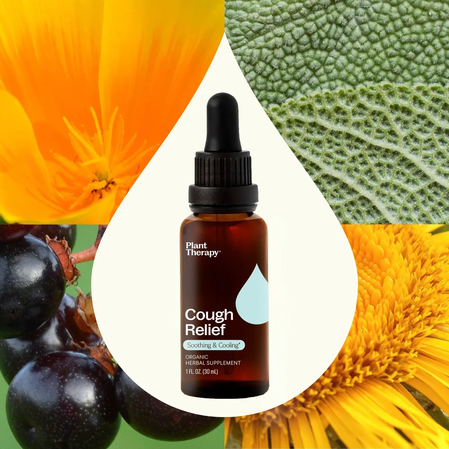 Cough Relief Organic Herbal Supplement 30 ml