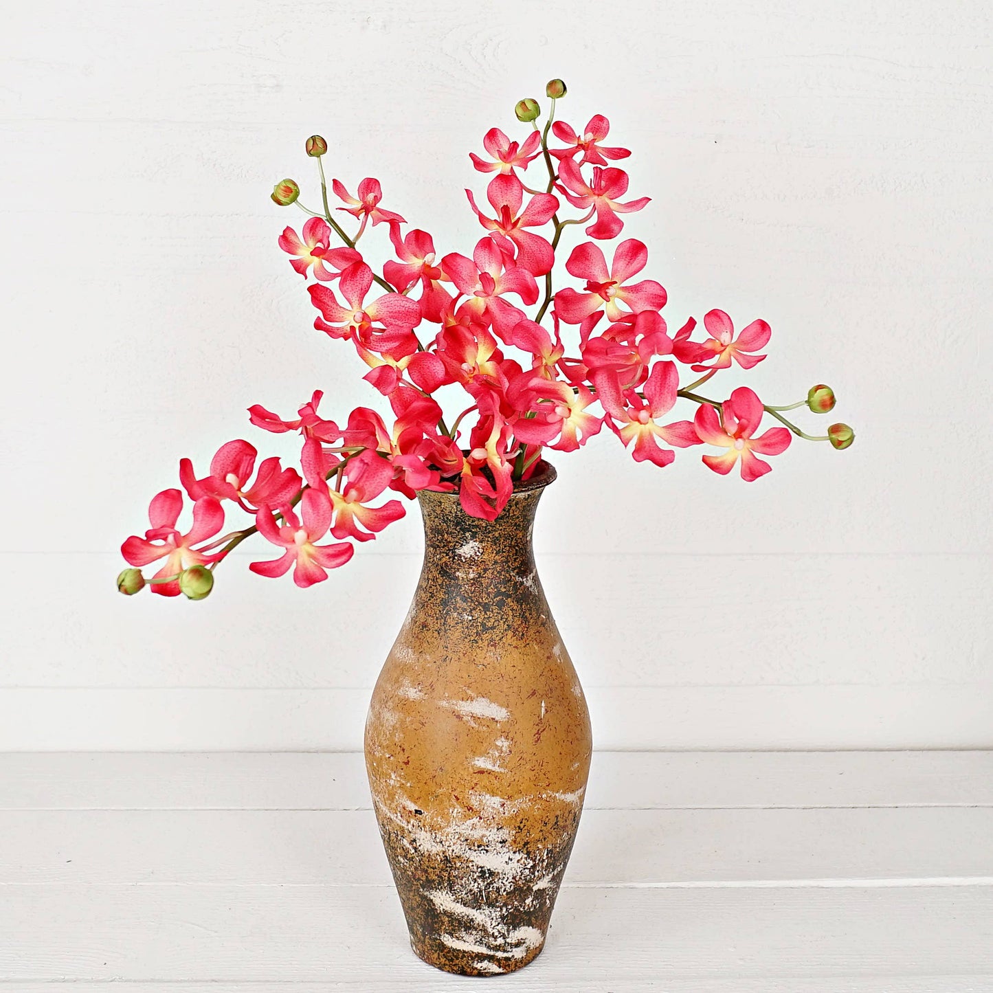 IT006AP- 24" Orchid spray- Apricot