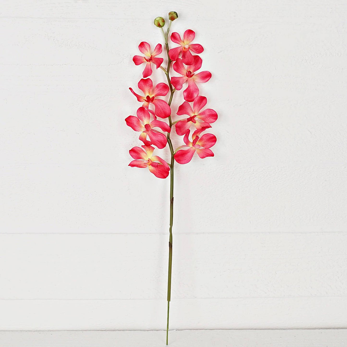 IT006AP- 24" Orchid spray- Apricot