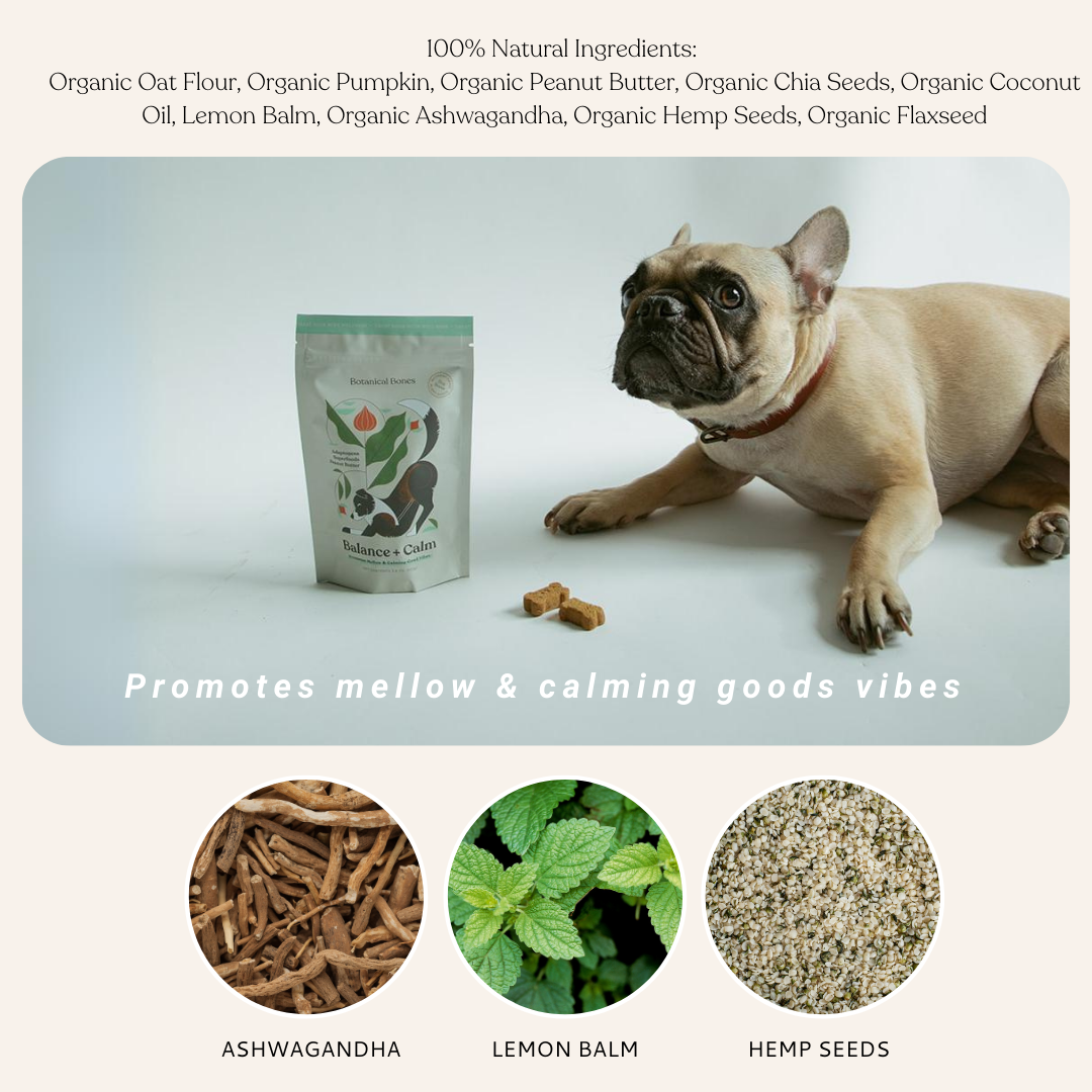 Balance + Calm Cookies - All Natural, Organic Dog Treats