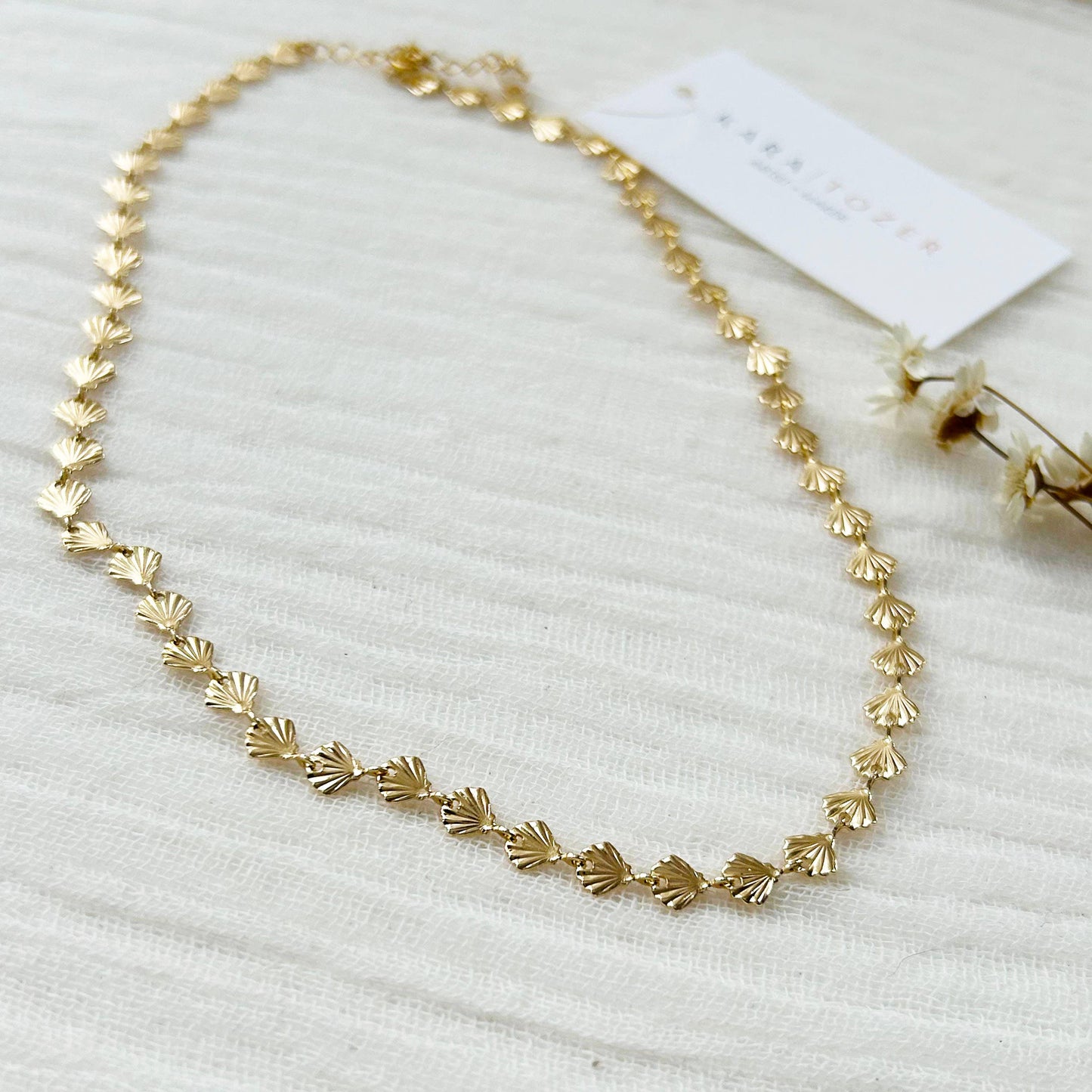 Dainty Seashell Necklace