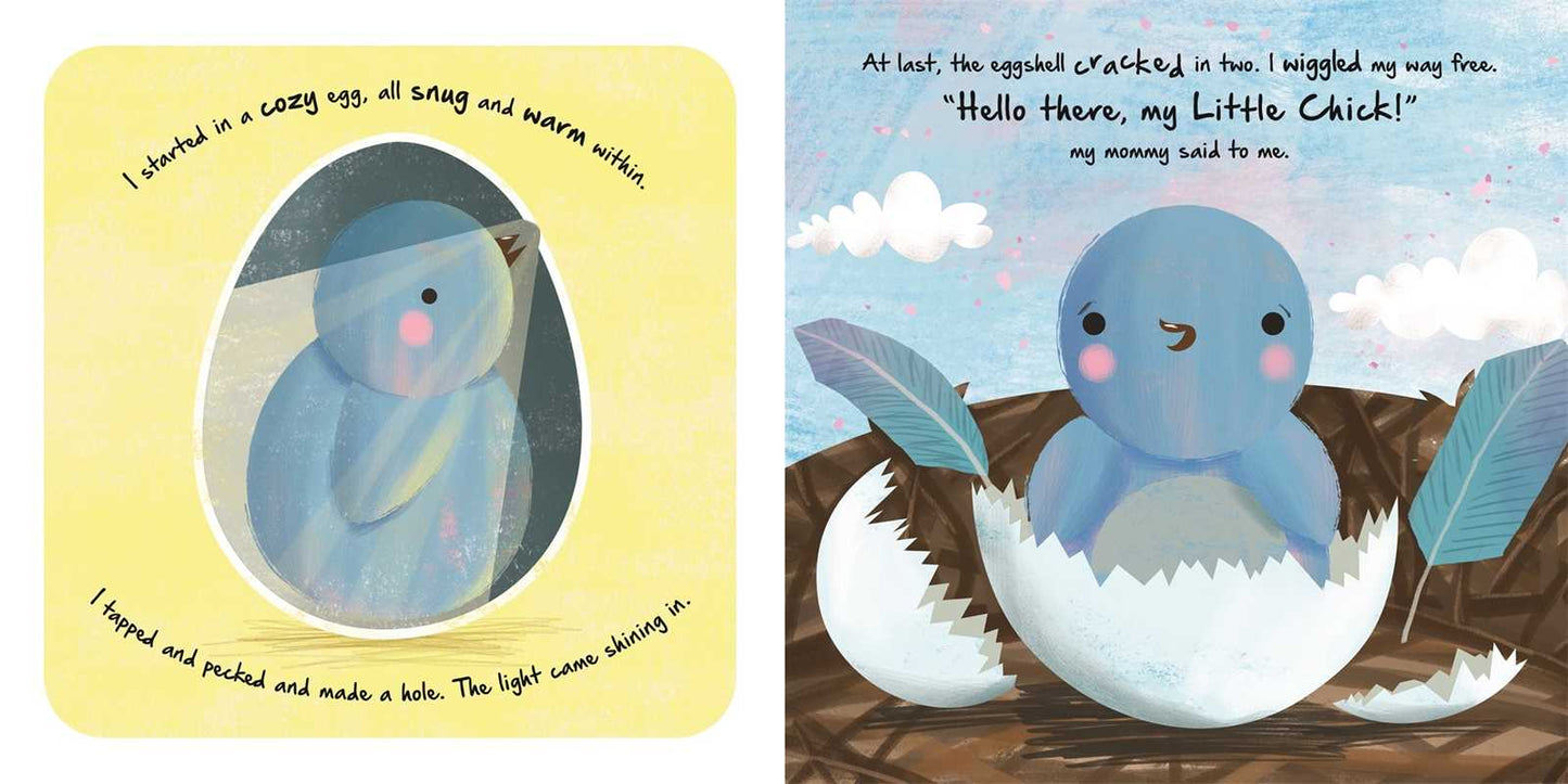 Nature Stories: Little Chick-Discover an Amazing Story from the Natural World by IglooBooks