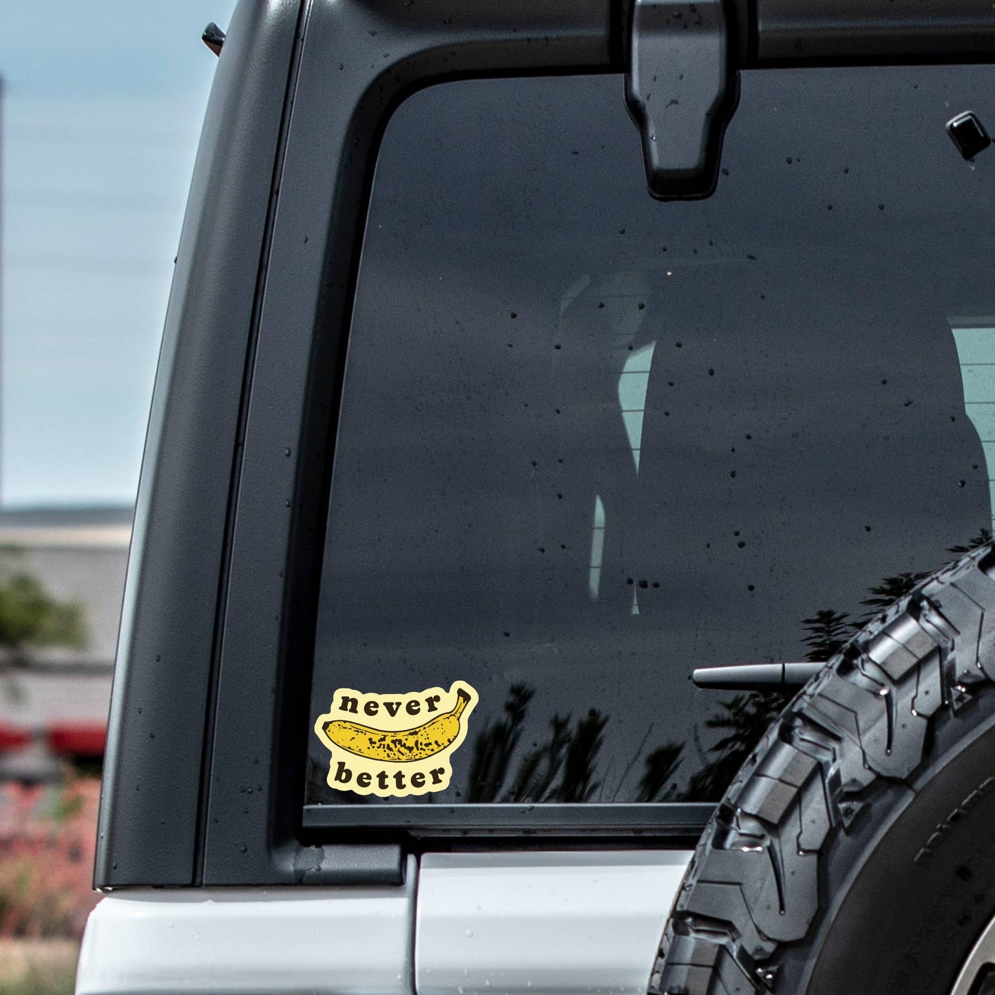 Dark Humor Funny Mental Health High Quality Vinyl Sticker