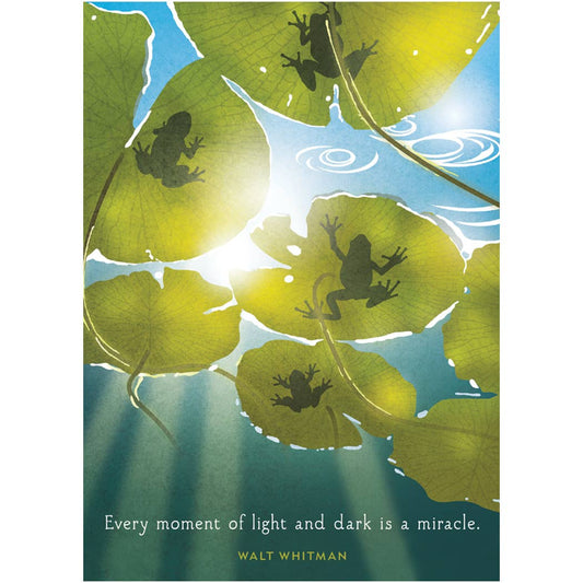 Lilypad Light Birthday Card