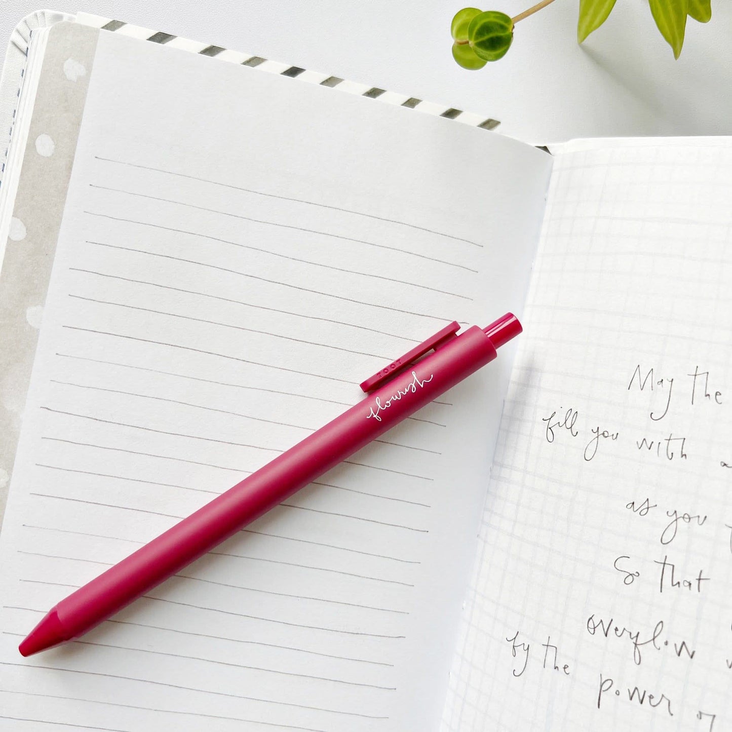 Jotter pen