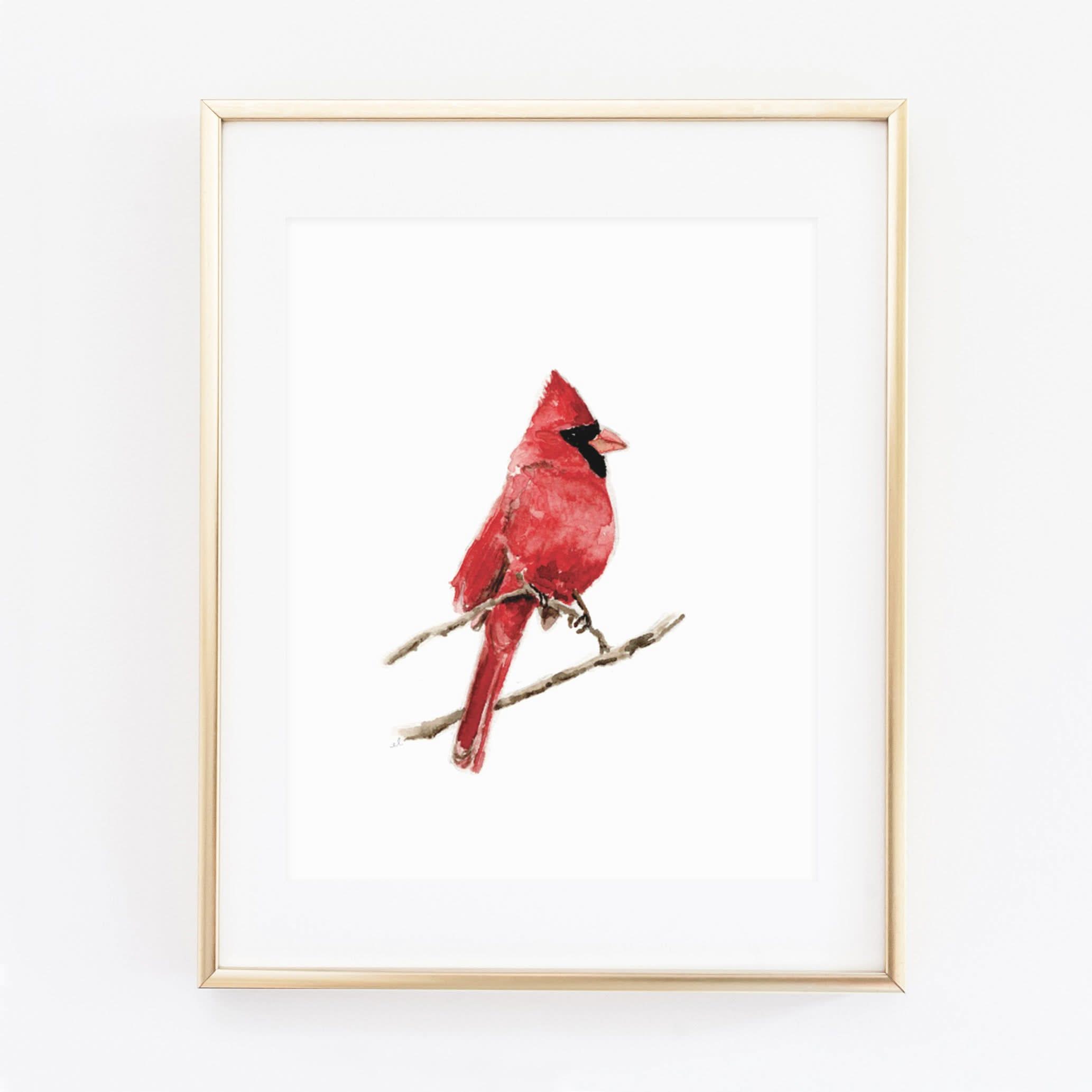 Cardinal art print – Jollifrogs
