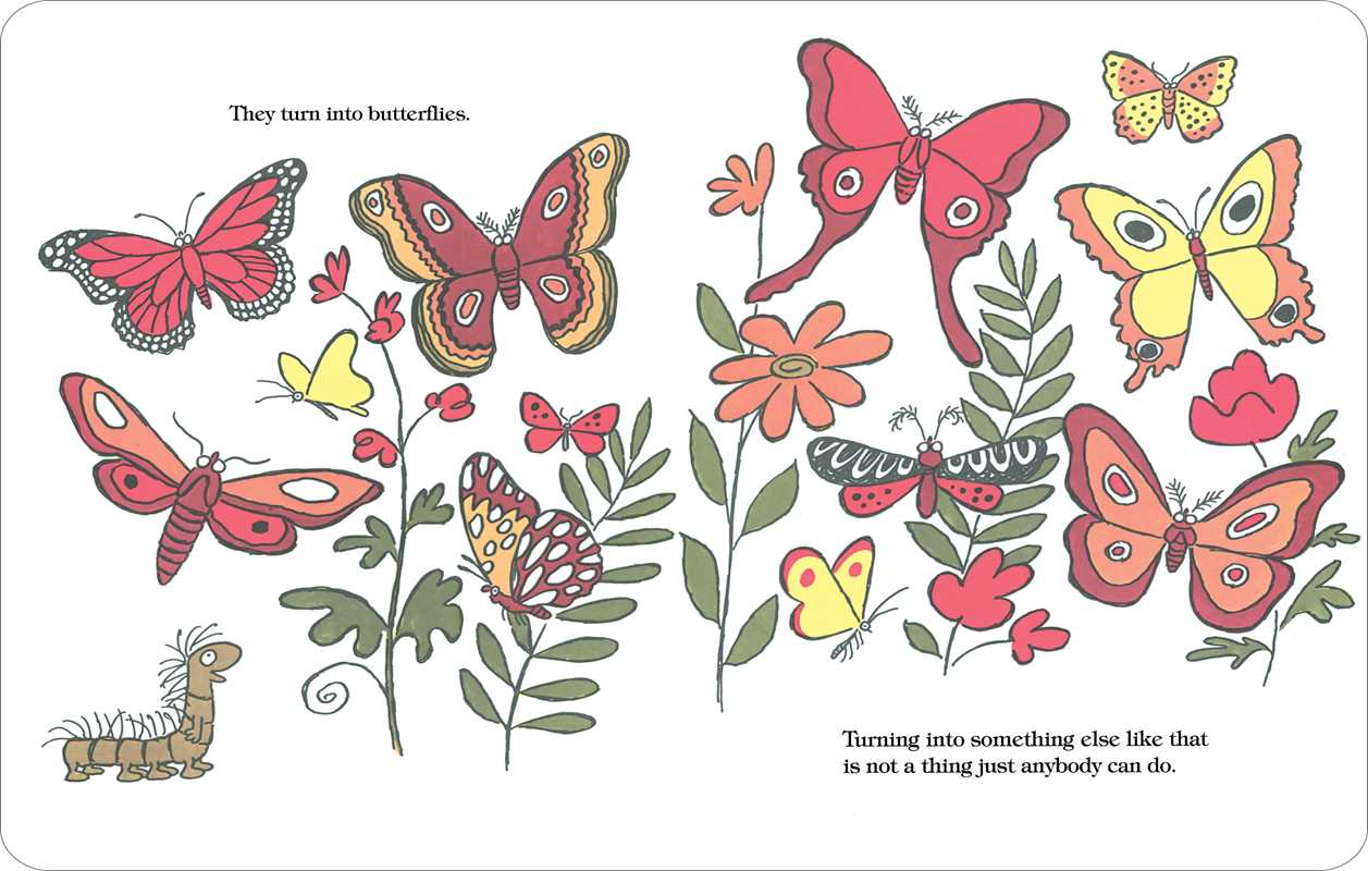 Caterpillar and the Polliwog by Jack Kent
