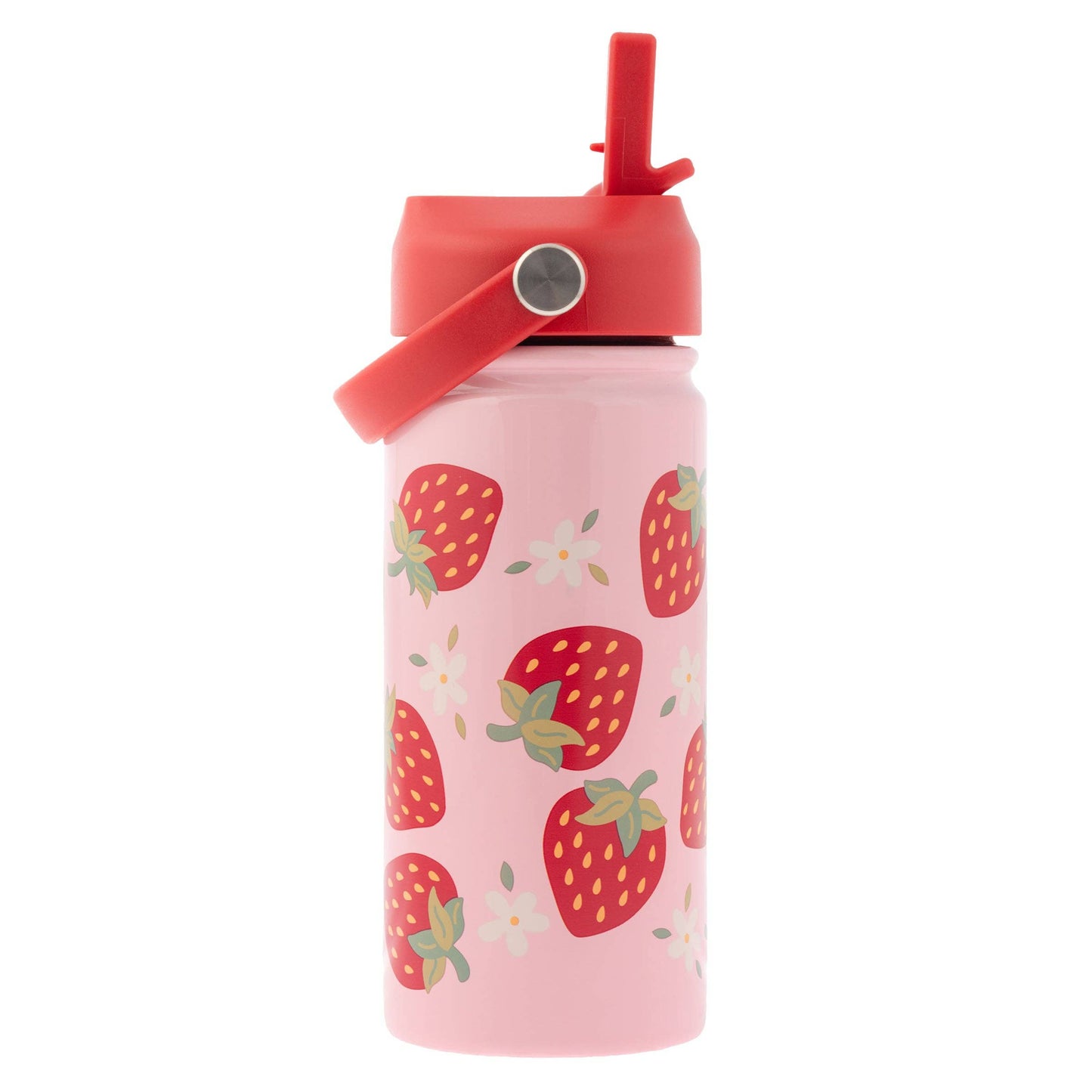 Insulated Stainless Steel Water Bottle with Handle