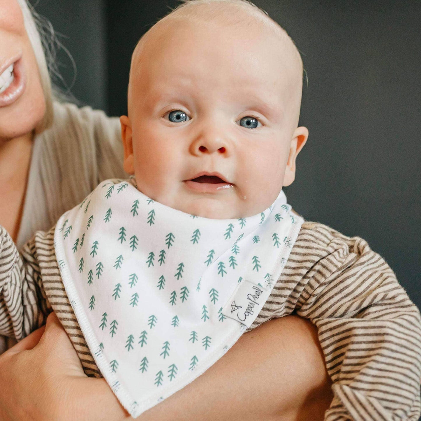 4 Pack Baby Bandana Bibs - Atwood