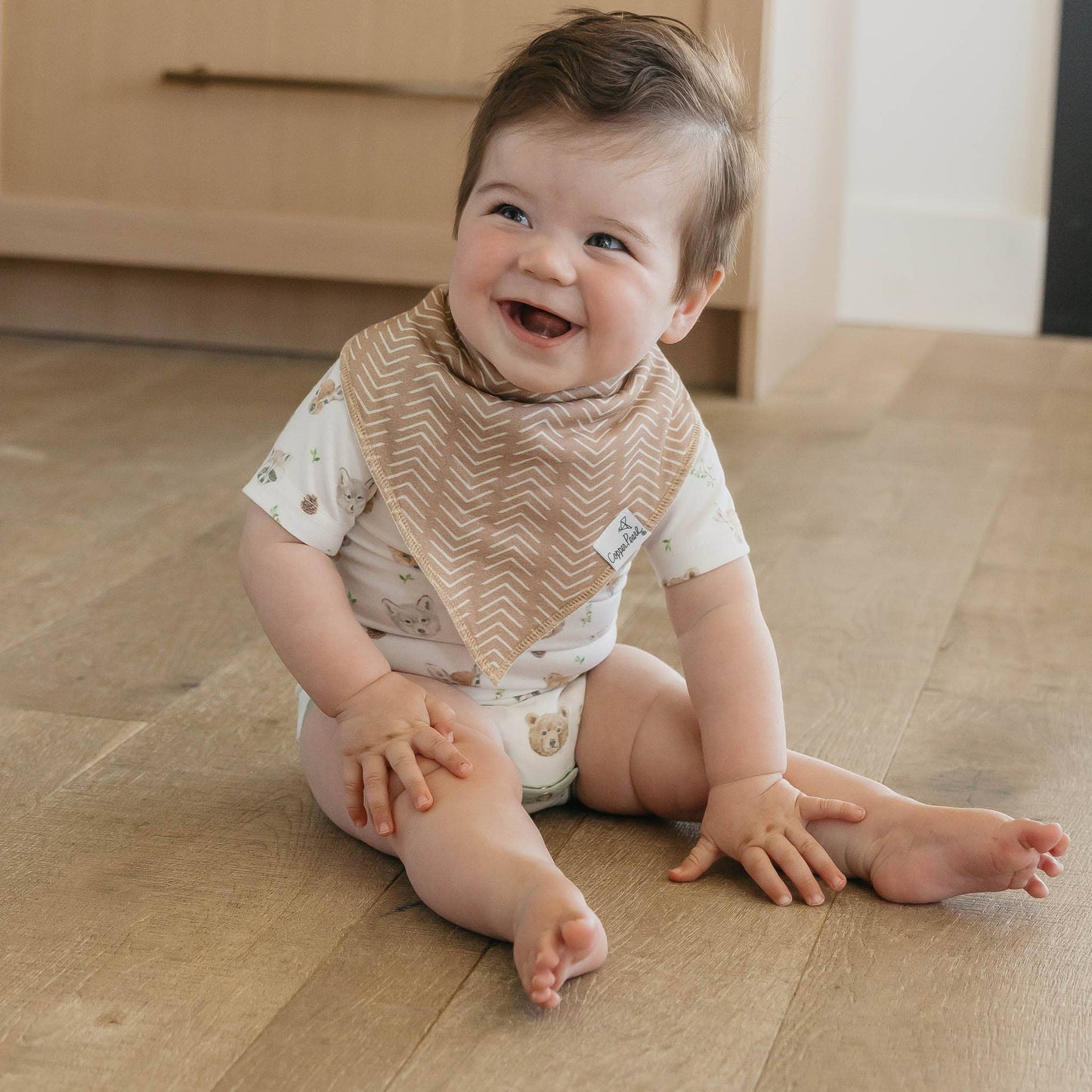 4 Pack Baby Bandana Bibs - Wilder
