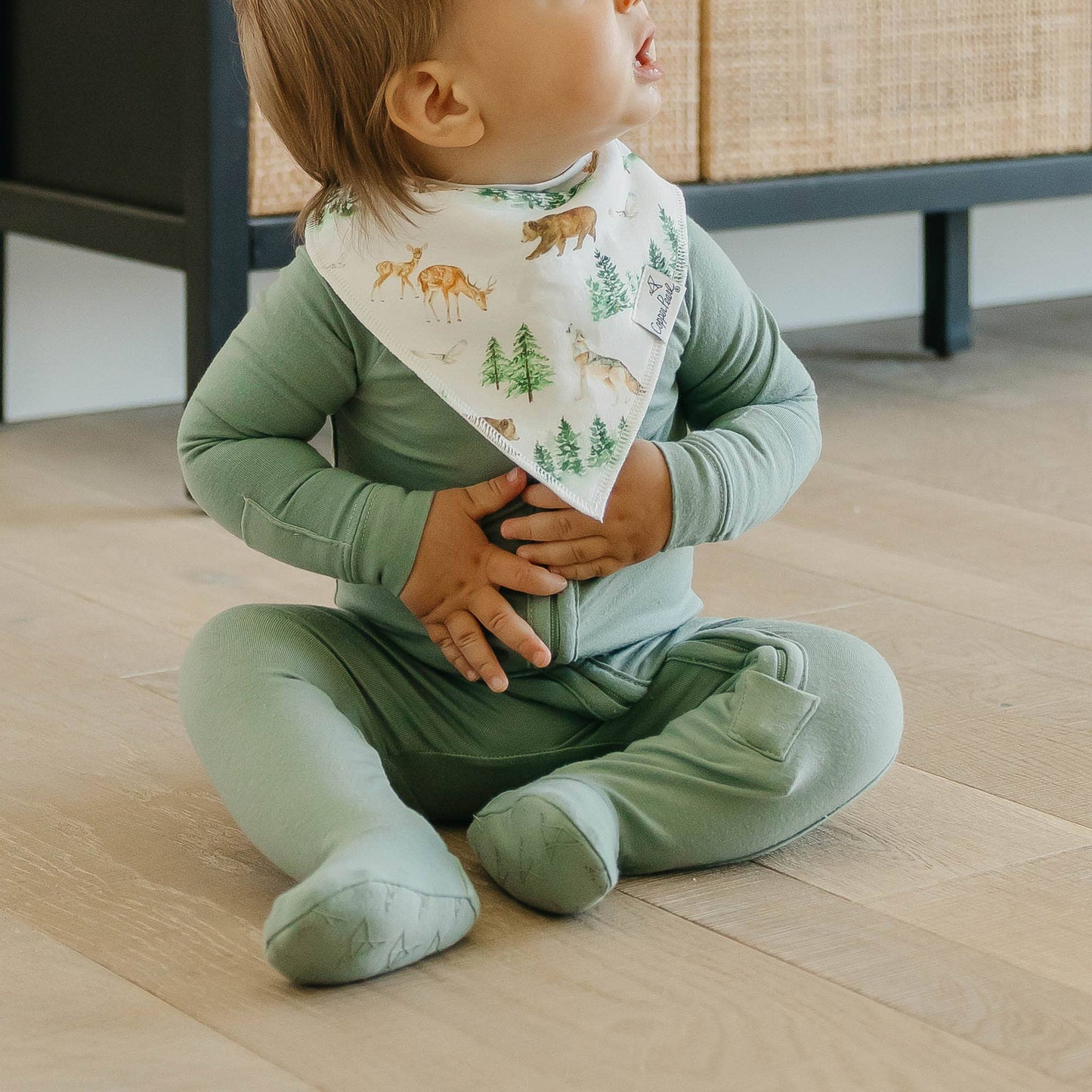 4 Pack Baby Bandana Bibs - Wilder