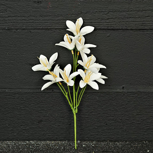 Tahitian Gardenia-Cream White