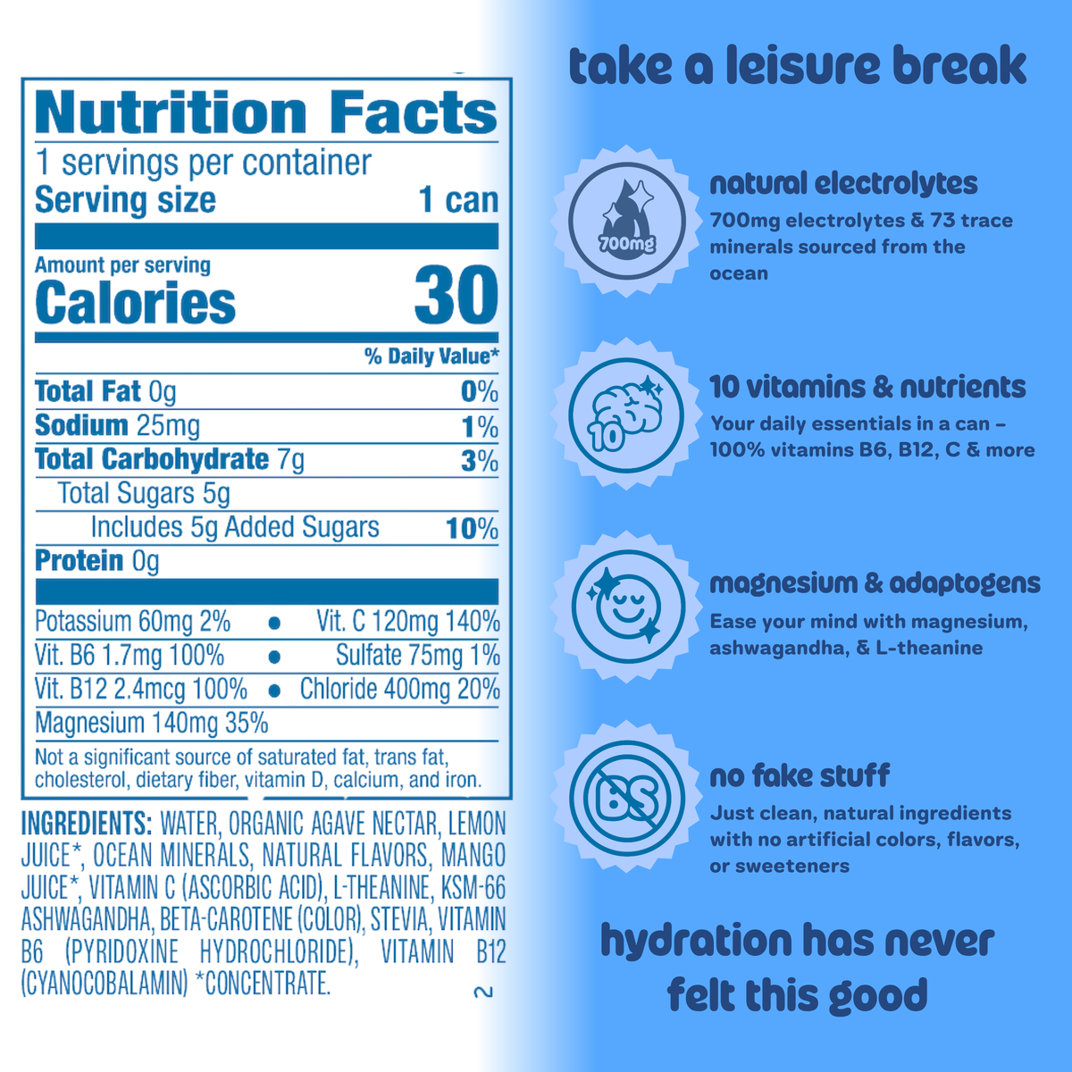 Leisure Hydration Electrolyte Wild Blueberry (16 oz x 12-Pack)