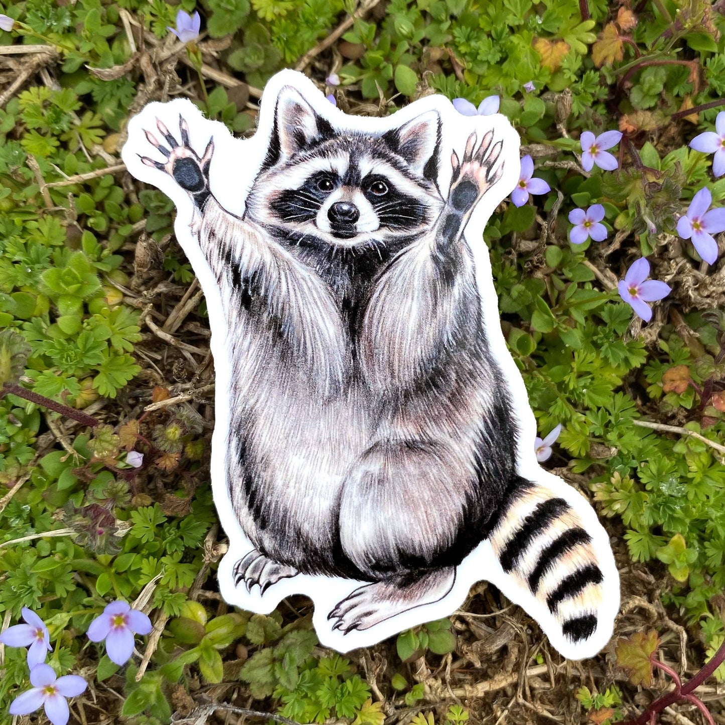 Raccoon Weatherproof Vinyl Sticker
