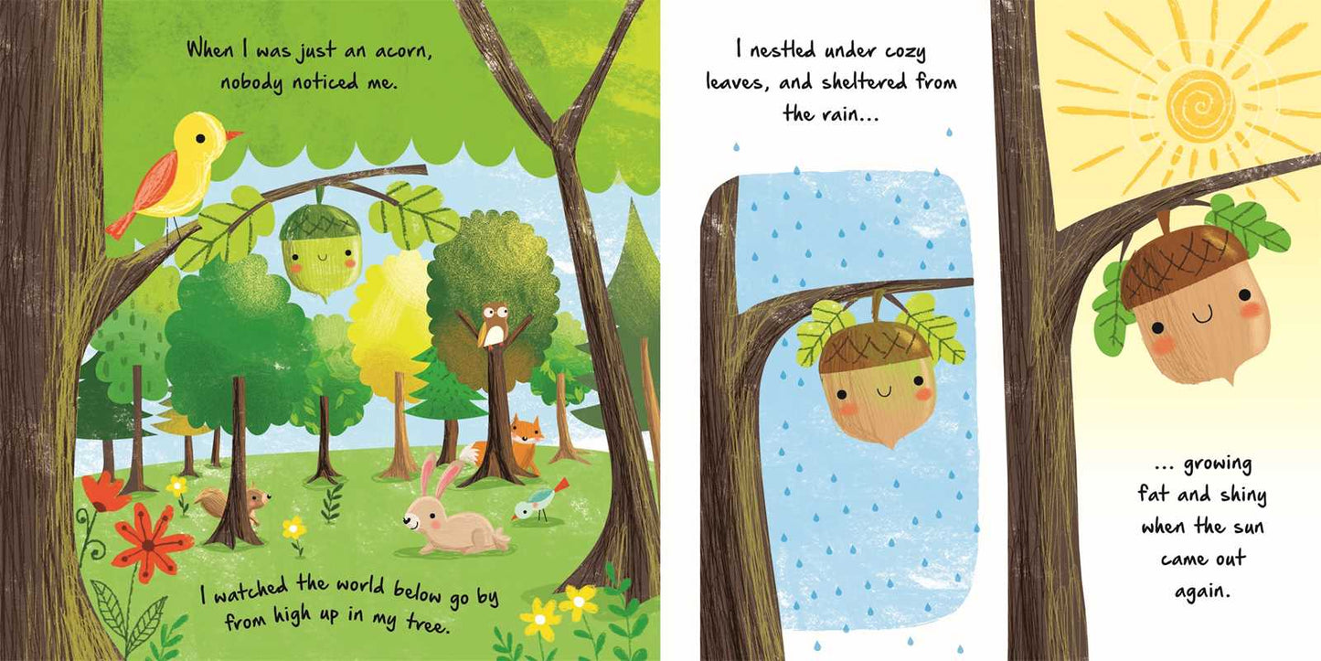 Nature Stories: Little Acorn-Discover an Amazing Story from the Natural World by IglooBooks