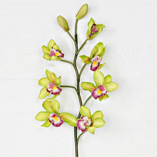IT021GR- 32in Cymbidium orchid w bud stem- Green