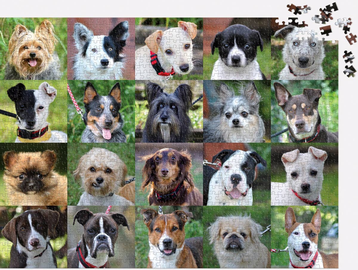 Rescue Dogs 1000 Piece Puzzle