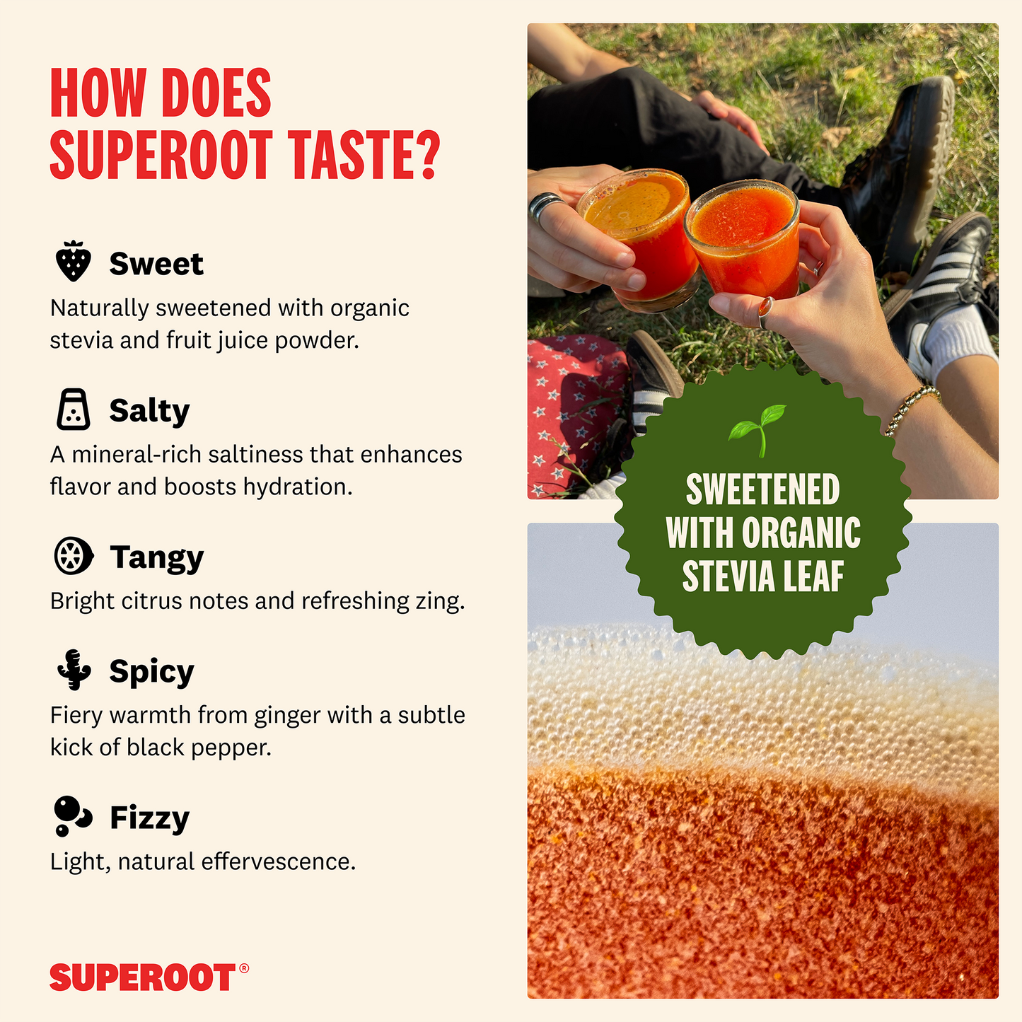 Immunity & Hydration Superfood Mix - Strawberry | 12 count