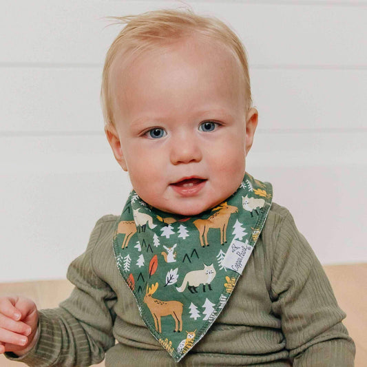 4 Pack Baby Bandana Bibs - Atwood