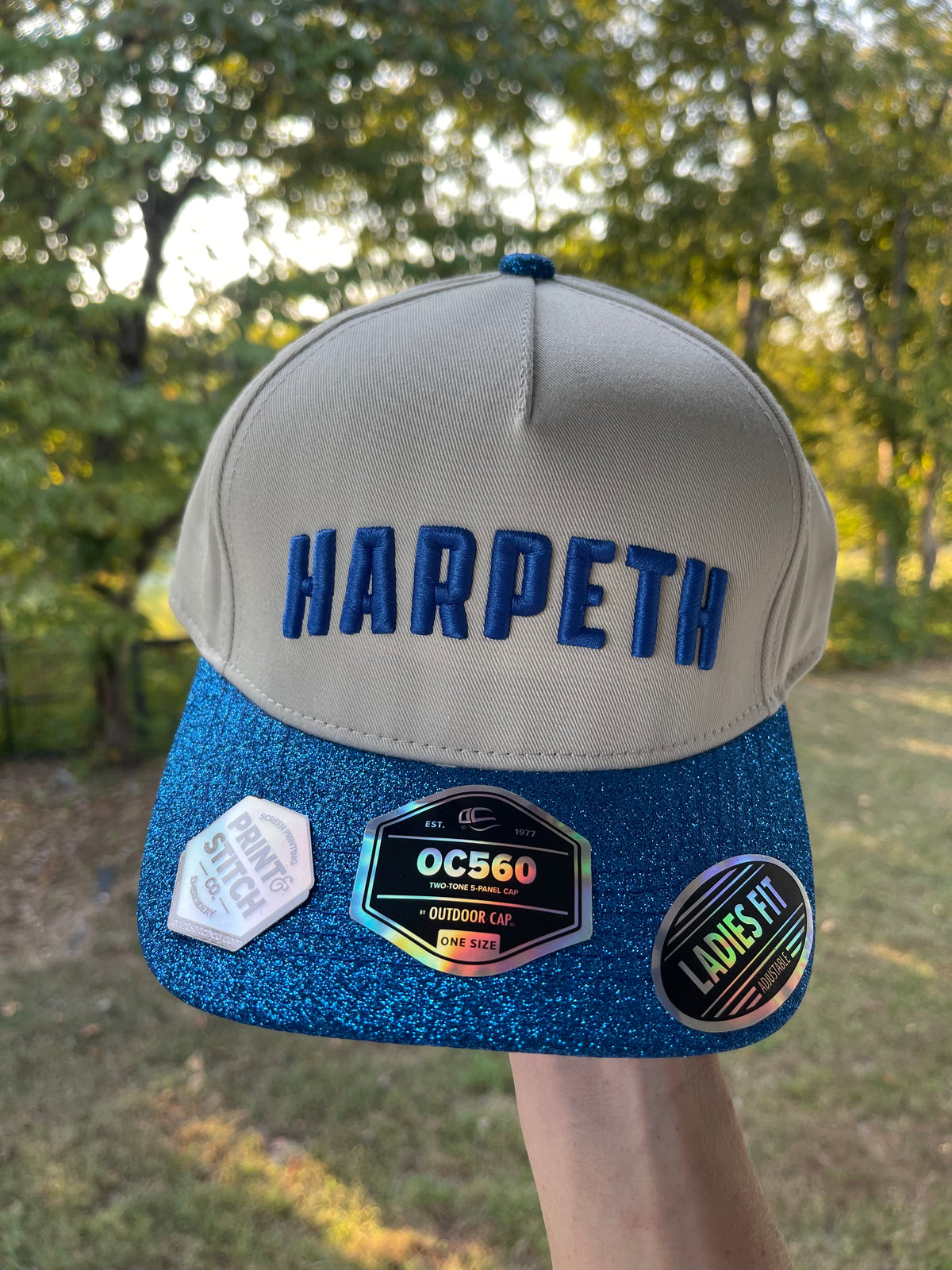 Glitter Bill Embroidered Stitch Hat