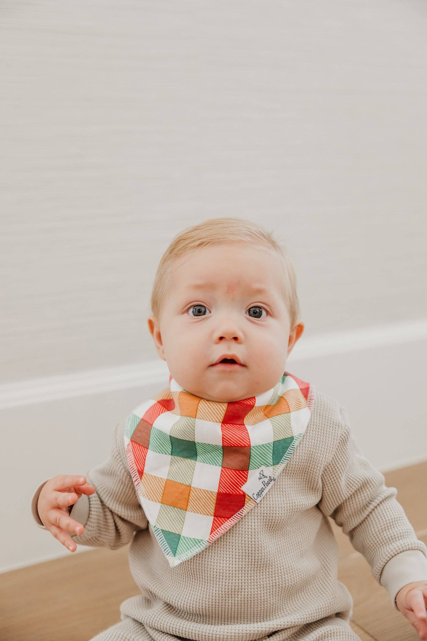 Baby Bandana Bibs - Griswold