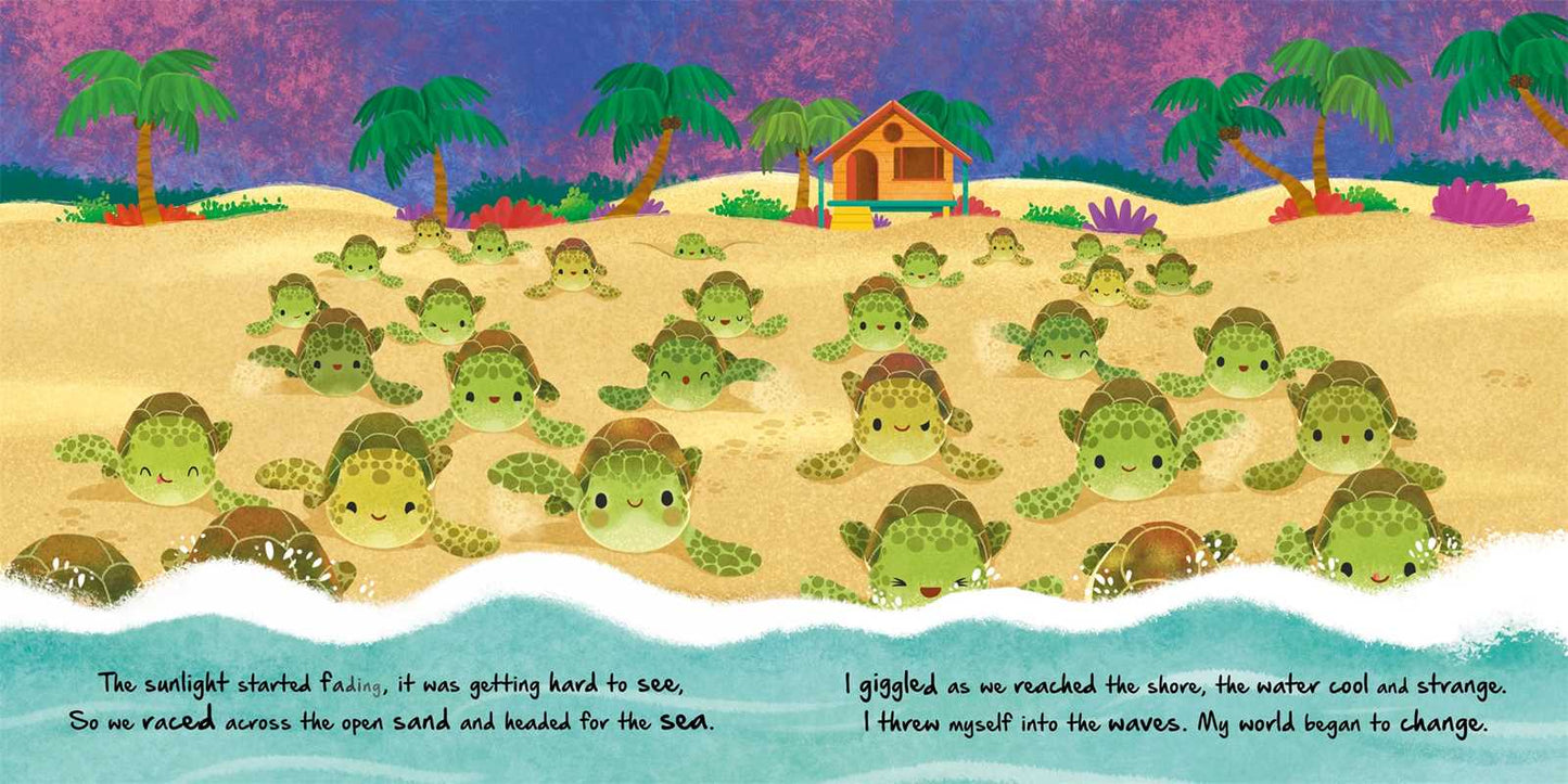 Nature Stories: Little Turtle-Discover an Amazing Story from the Natural World by IglooBooks