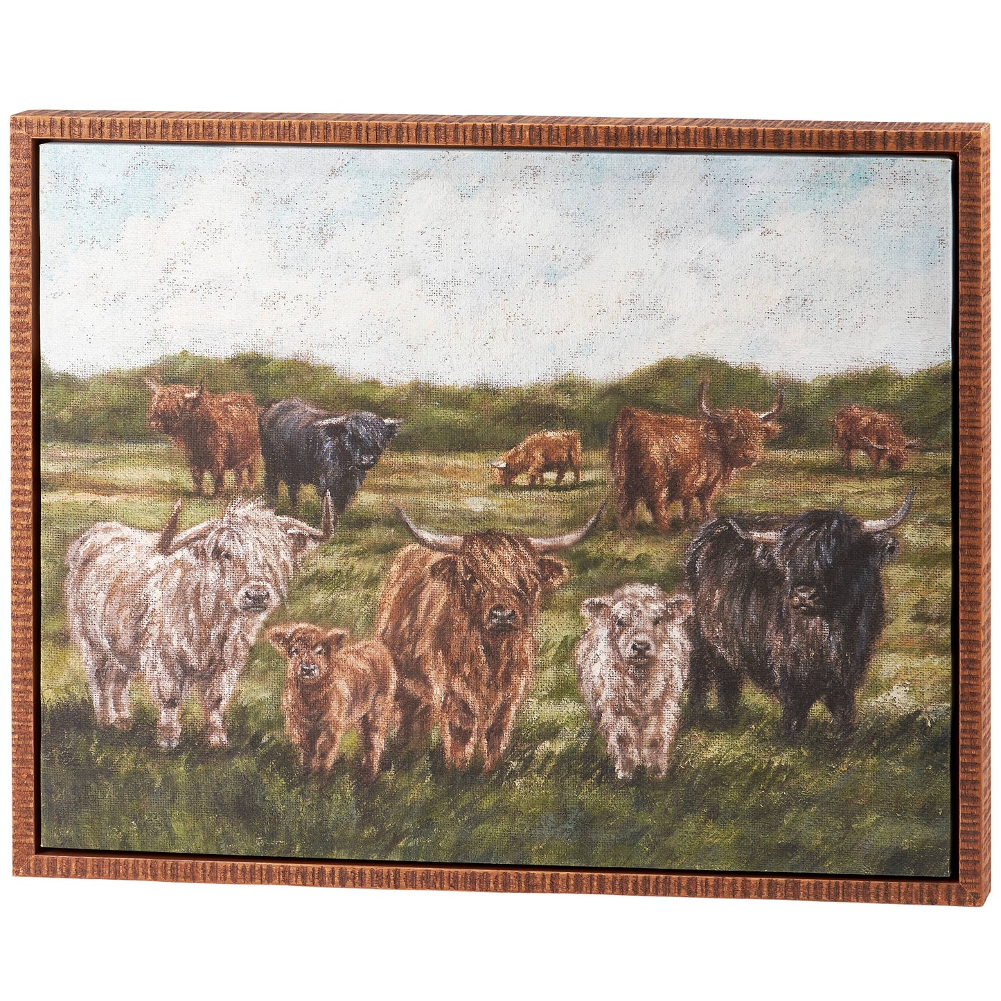 Highland Cows Canvas Wall Art