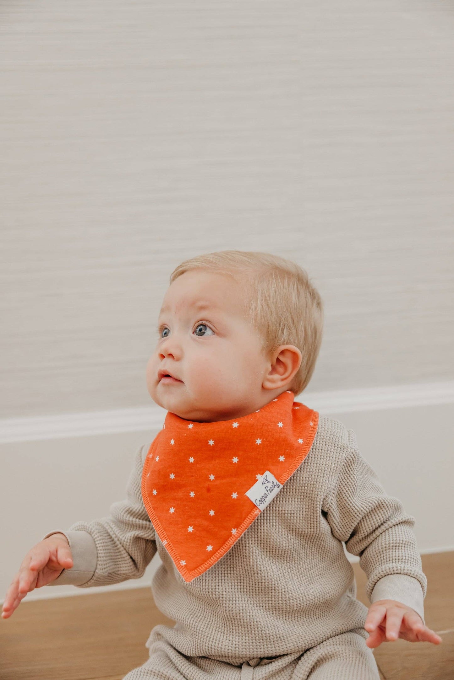 Baby Bandana Bibs - Griswold