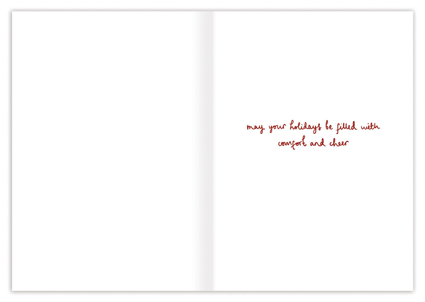 Animals In Stockings Christmas Holiday Card