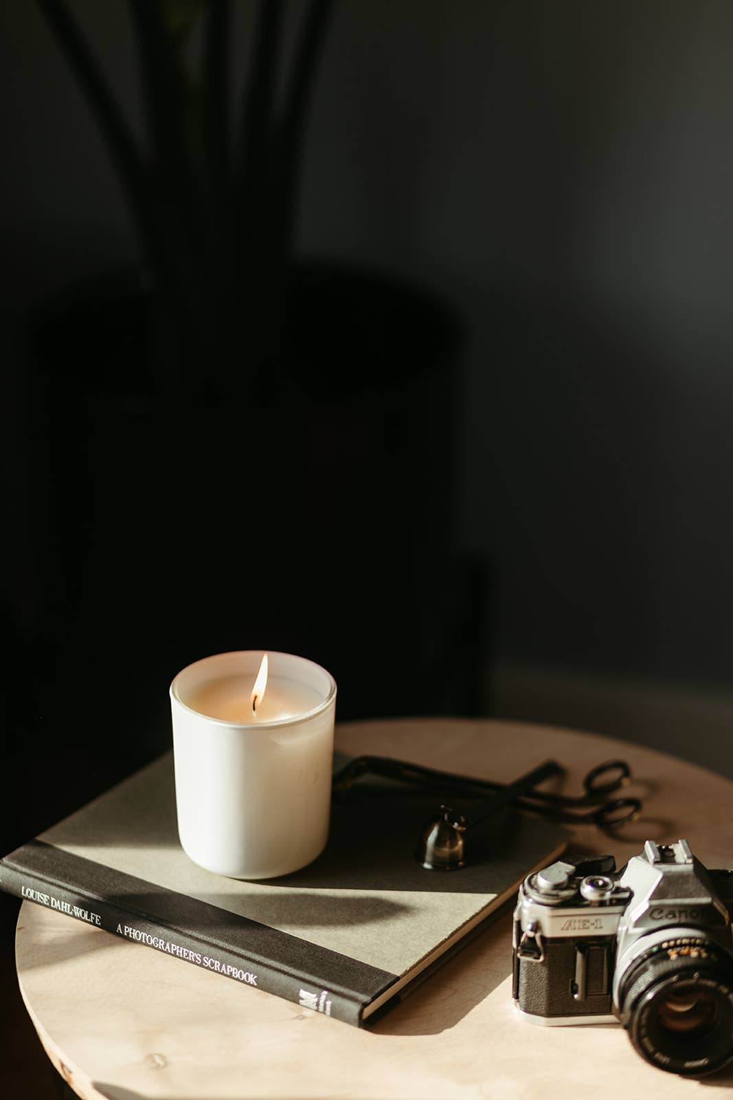 Zion National Park 10 oz Candle