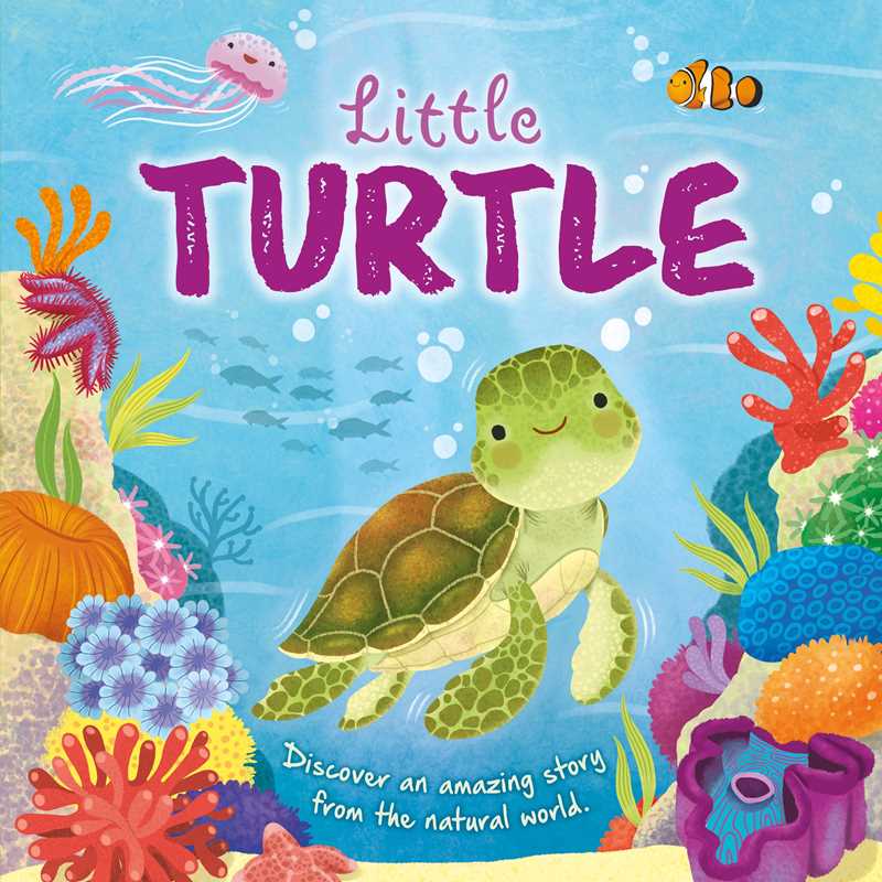 Nature Stories: Little Turtle-Discover an Amazing Story from the Natural World by IglooBooks